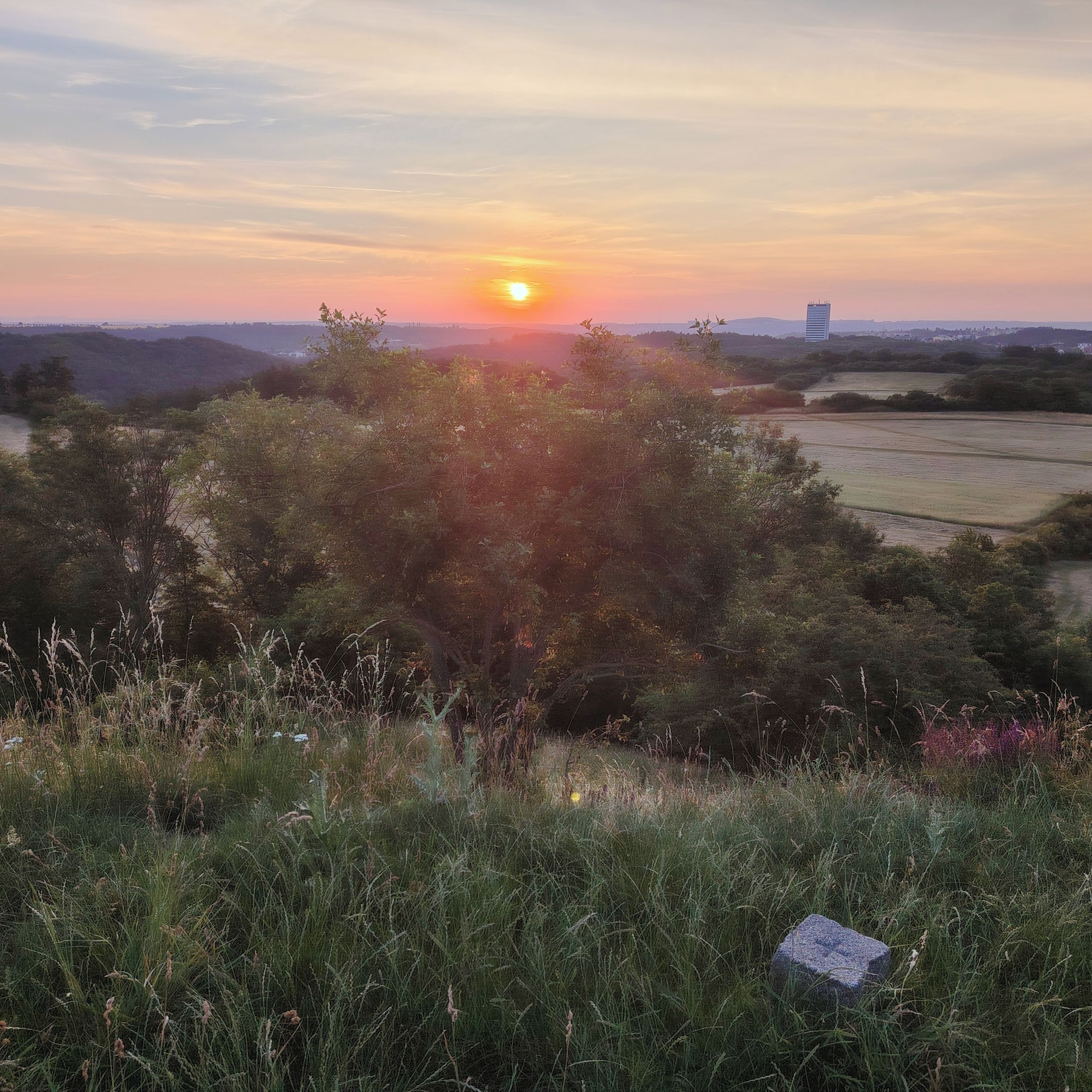 Soutěžní fotografie - Letní slunovrat,  Divoká Šárka, Praha