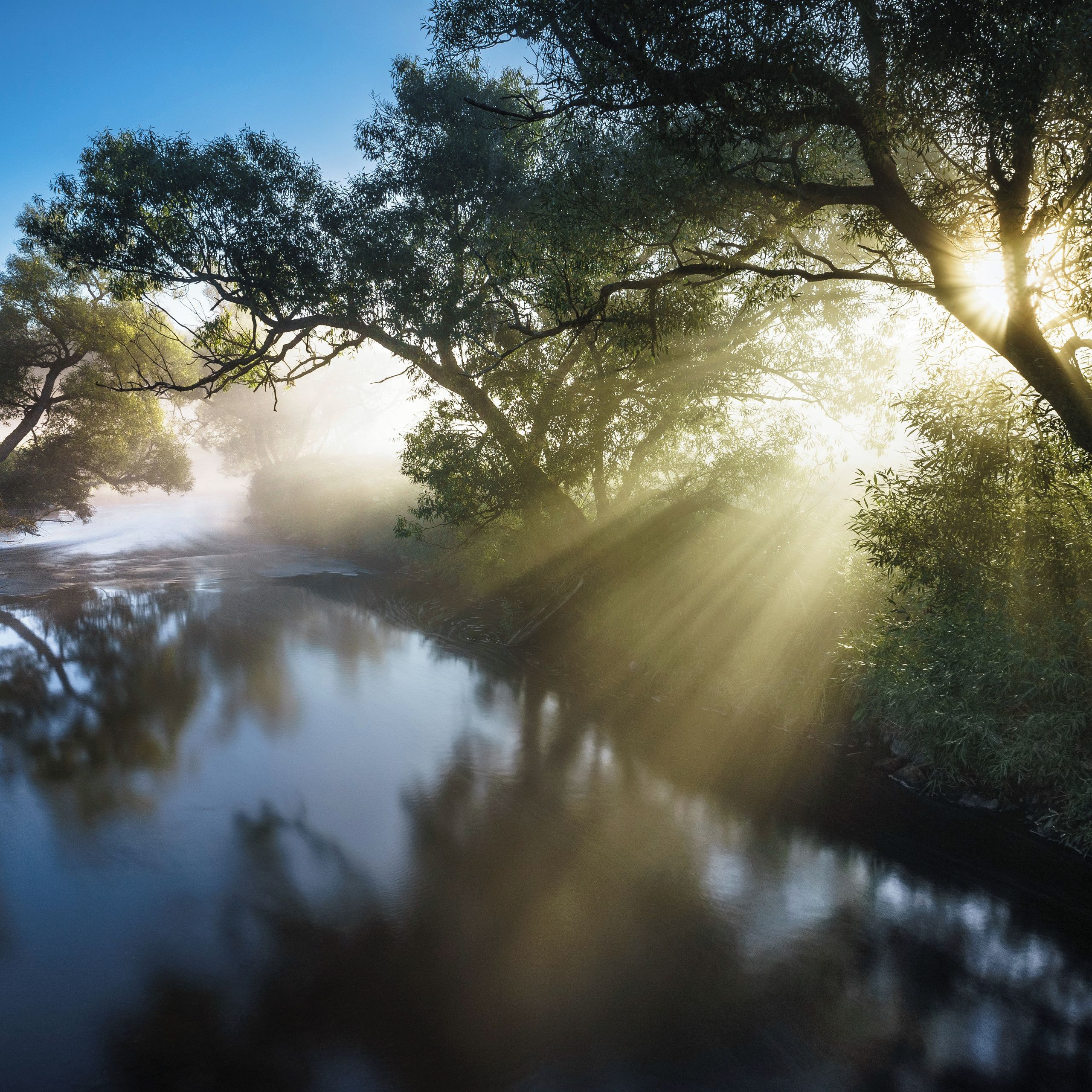 Soutěžní fotografie - Probouzení,  Šumava, Dobrá