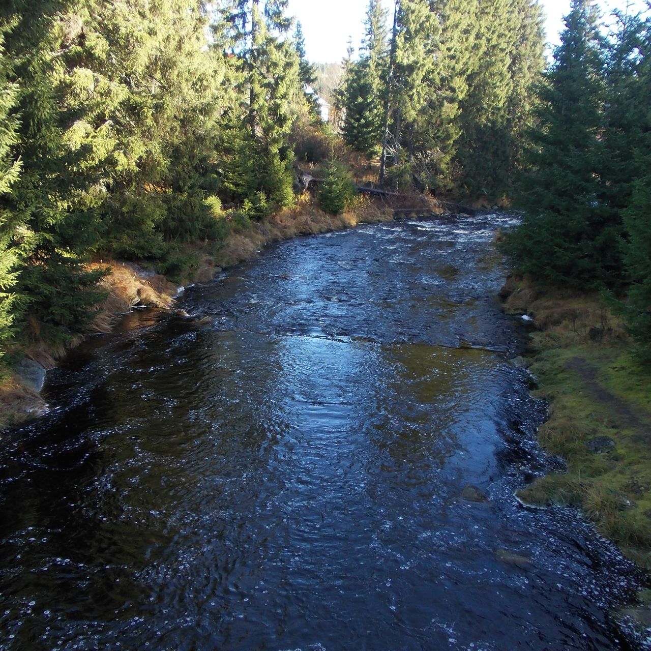 Soutěžní fotografie - Řeka Vydra,  Šumava