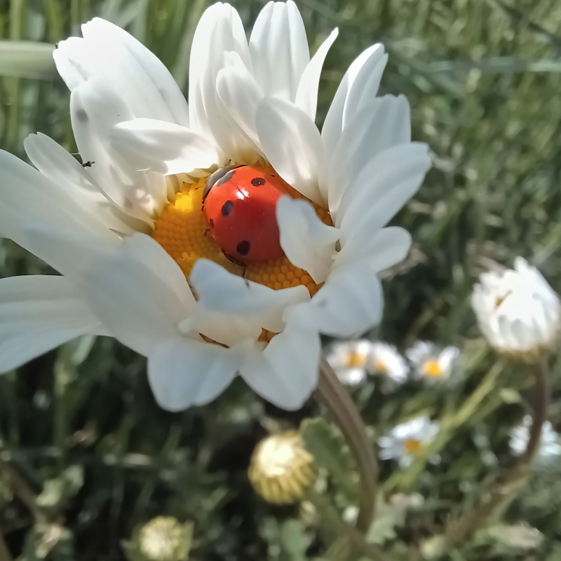 Soutěžní fotografie - Nejkrásnější ložnice,  Olomoucko