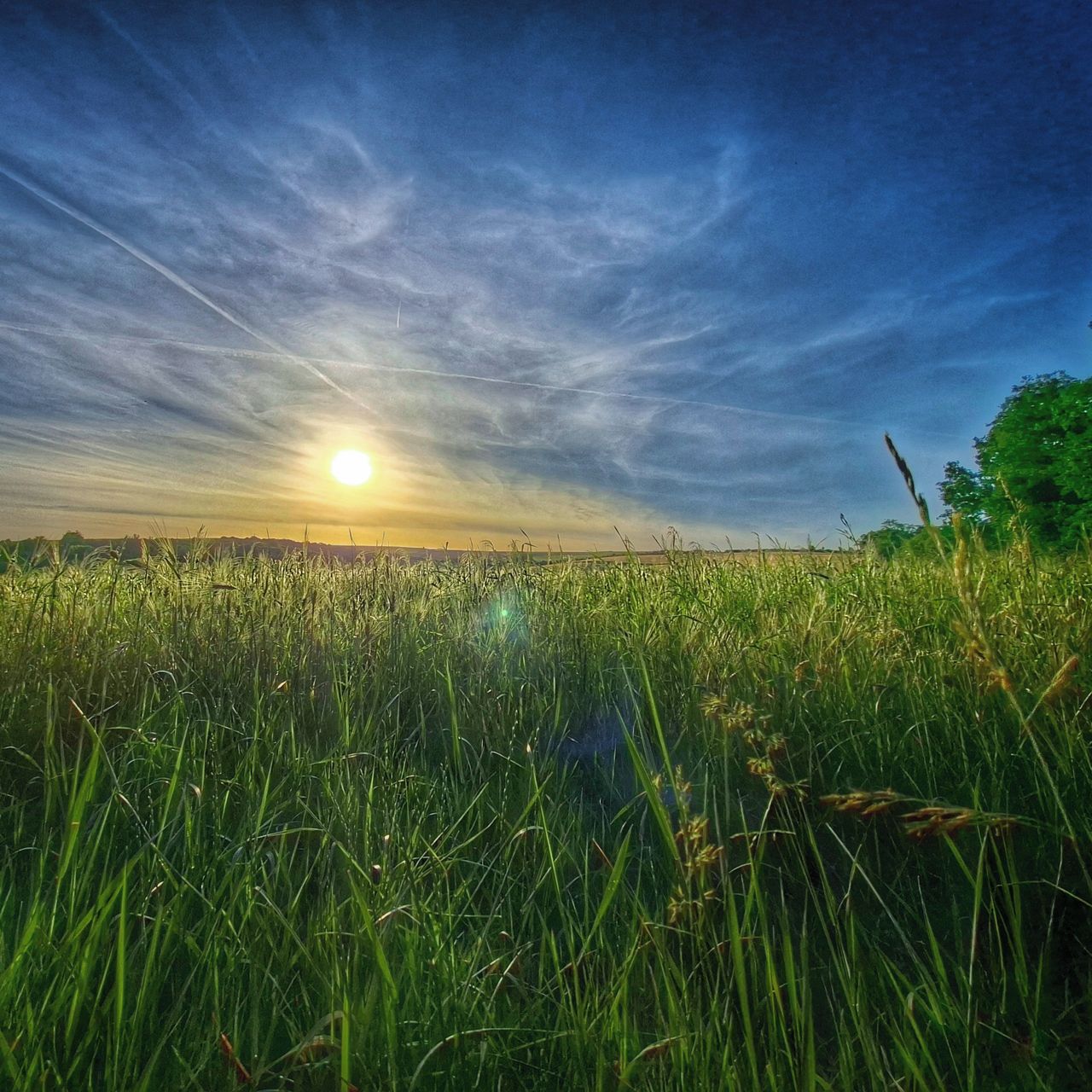 Soutěžní fotografie - Slunce a pole,  Moravský Písek