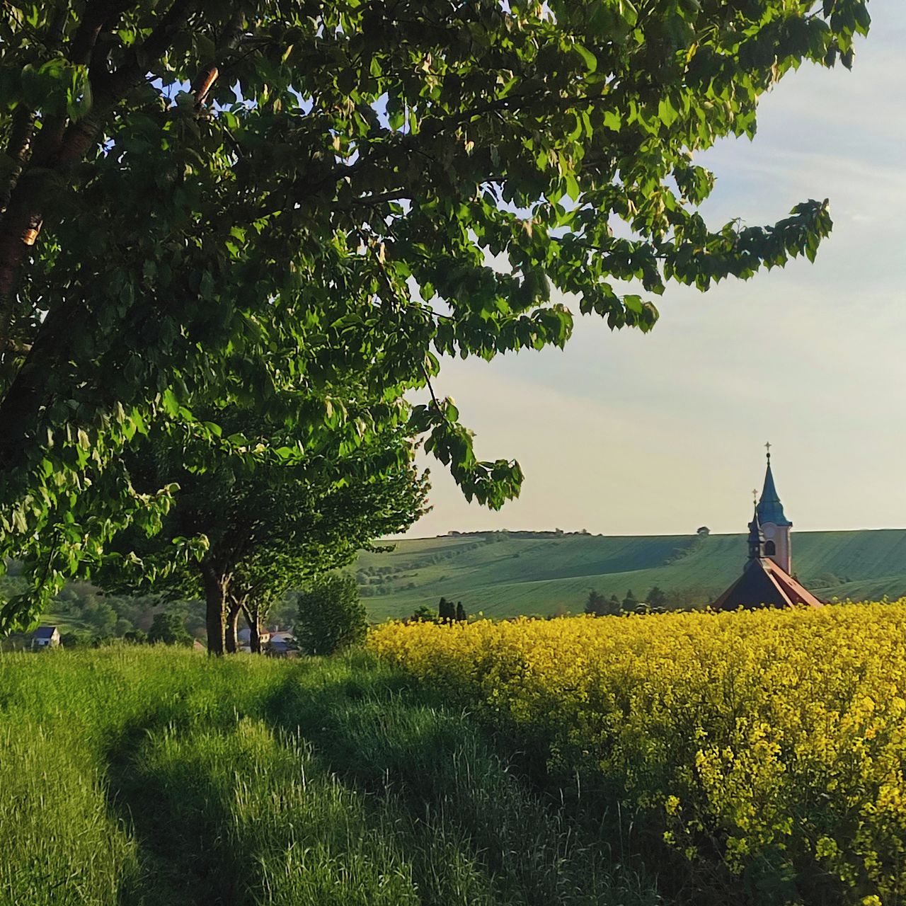 Soutěžní fotografie - Domov,  Jalubí