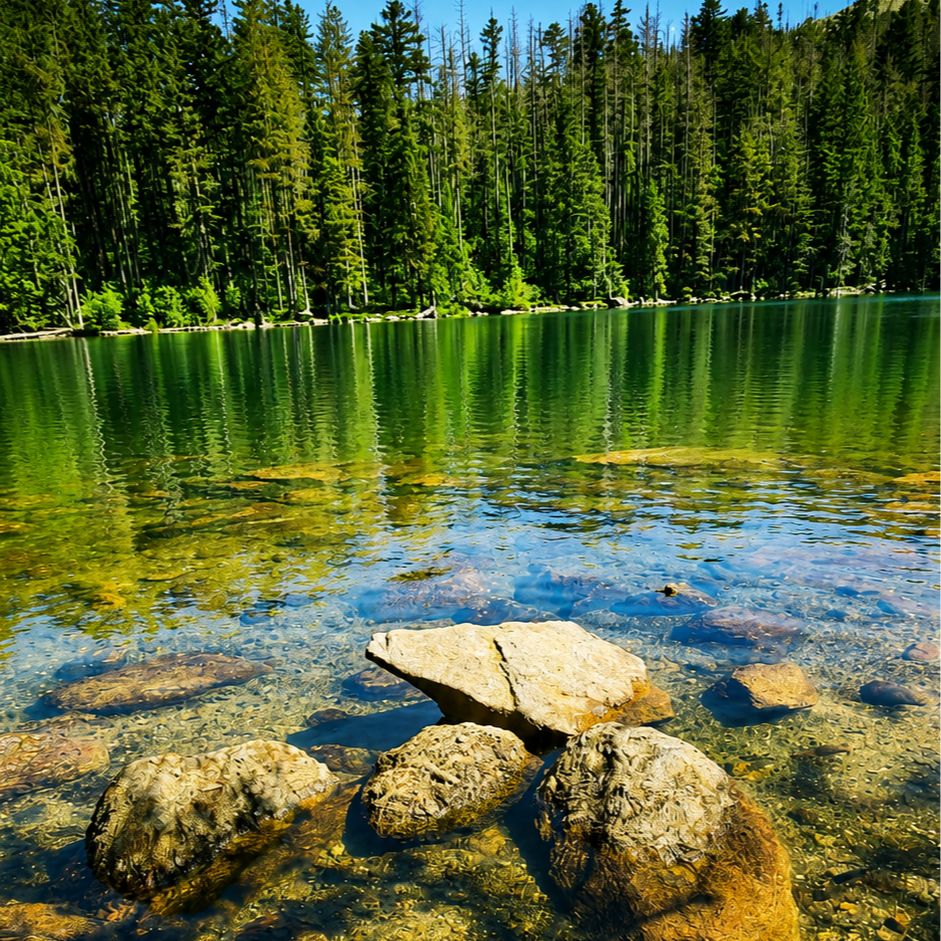 Soutěžní fotografie - Když Černé jezero zpívá zelenou píseň,  Šumava, Černé jezero