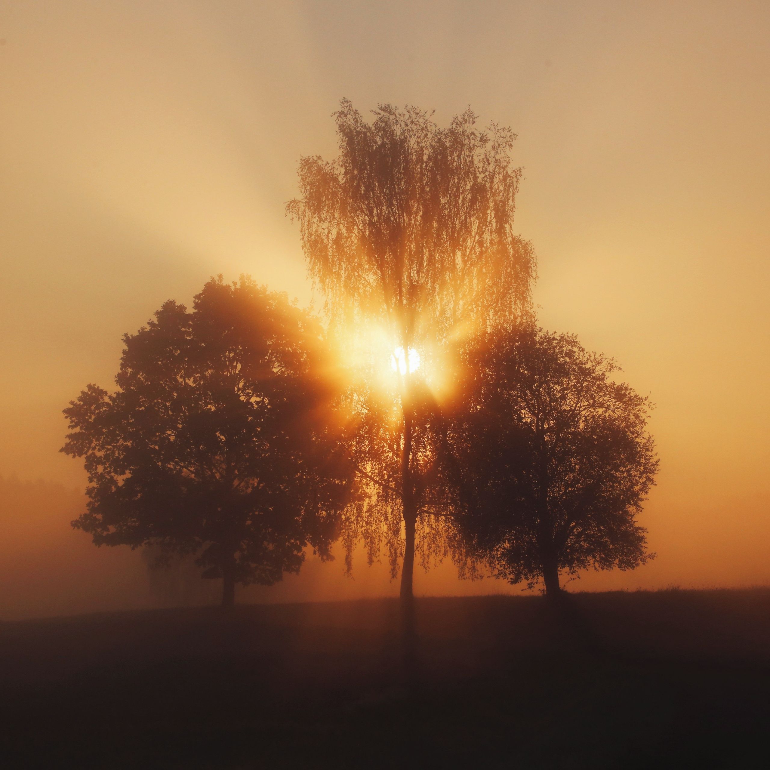 Soutěžní fotografie - Východ slunce,  Hrazany
