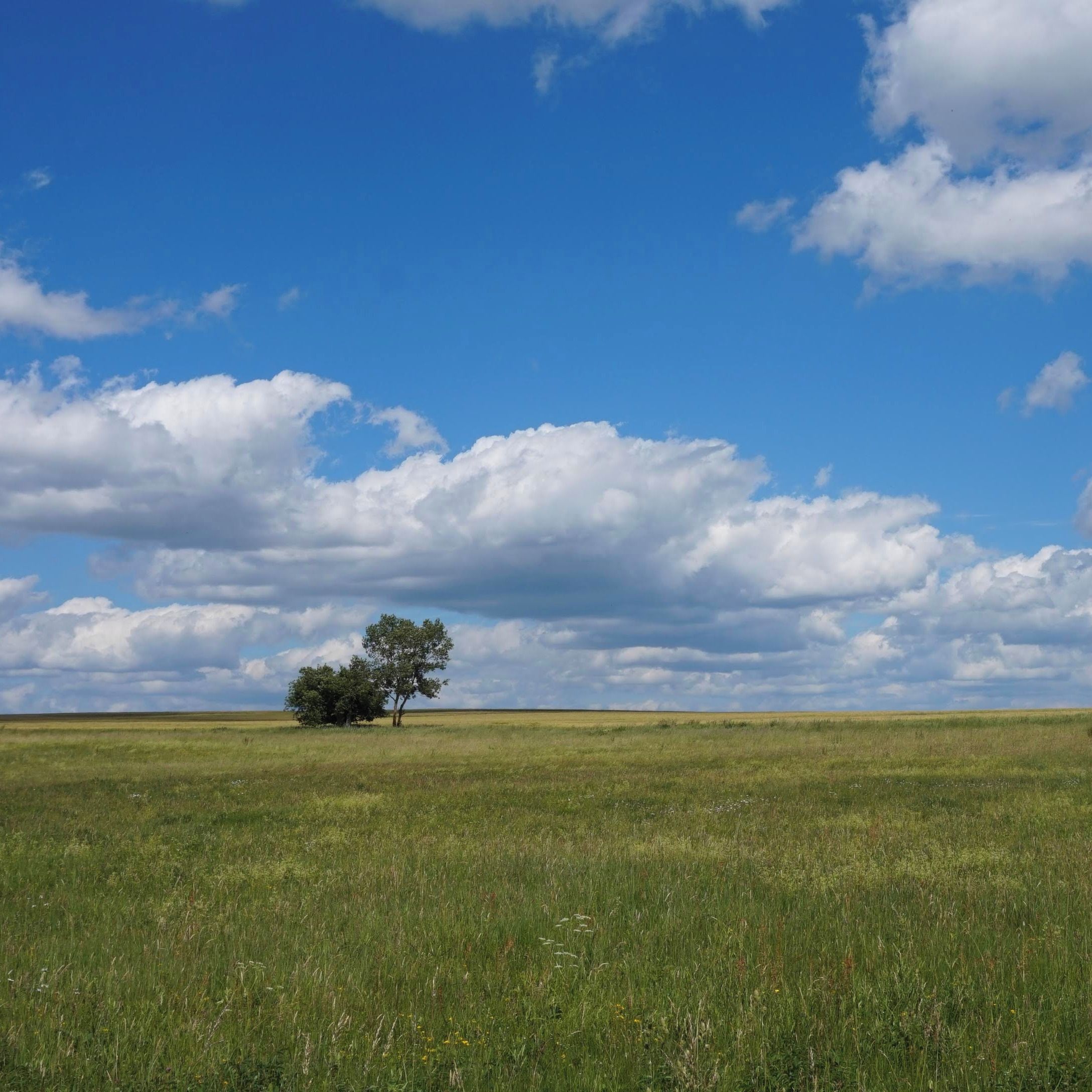 Soutěžní fotografie - Tapeta,  Rožmitálsko
