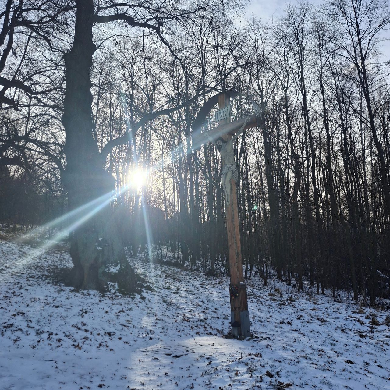 Soutěžní fotografie - Schody do nebe,  Cvilín, Krnov