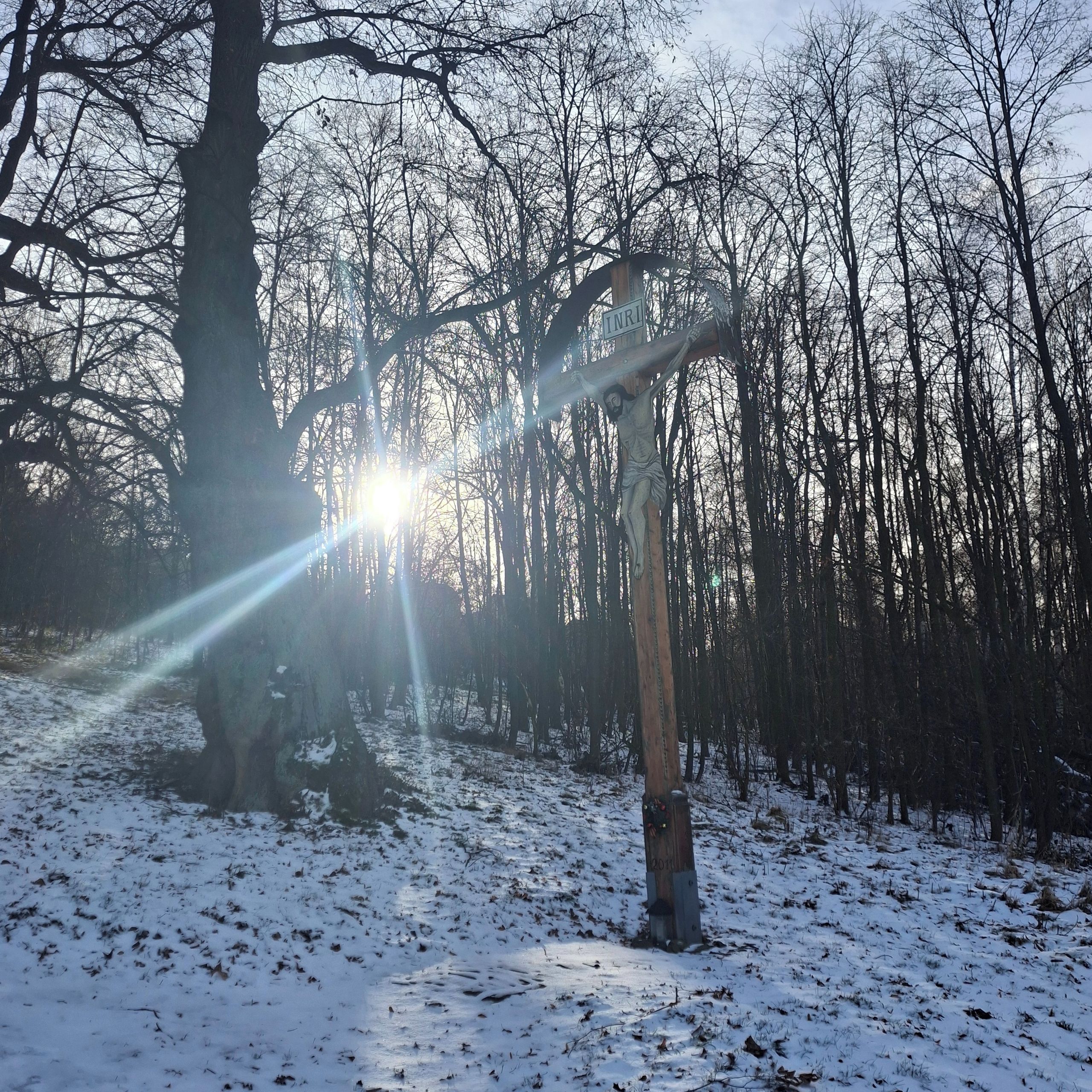 Soutěžní fotografie - Schody do nebe,  Cvilín, Krnov