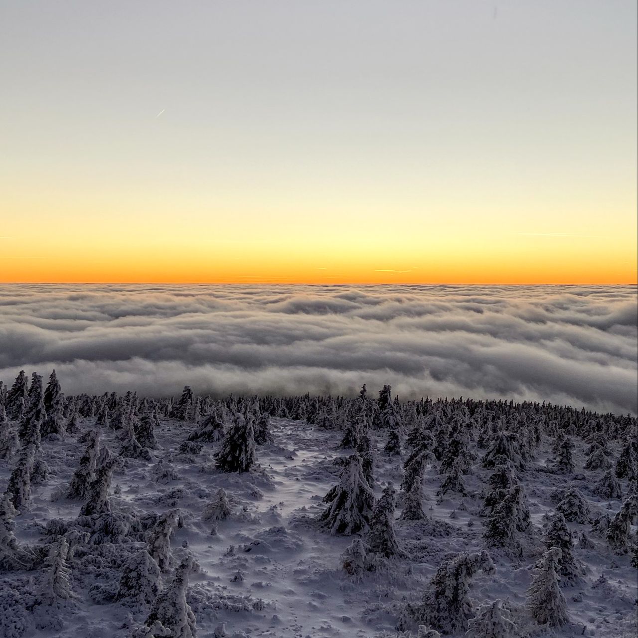 Soutěžní fotografie - Zima v Jizerkách,  Smrk, Jizerské hory