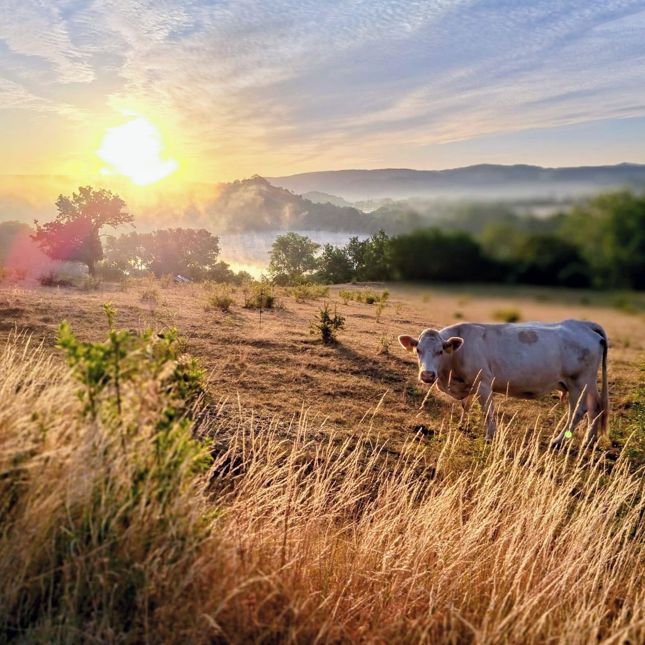 Soutěžní fotografie - Svítání nad Rtyní,  Rtyně nad Bílinou