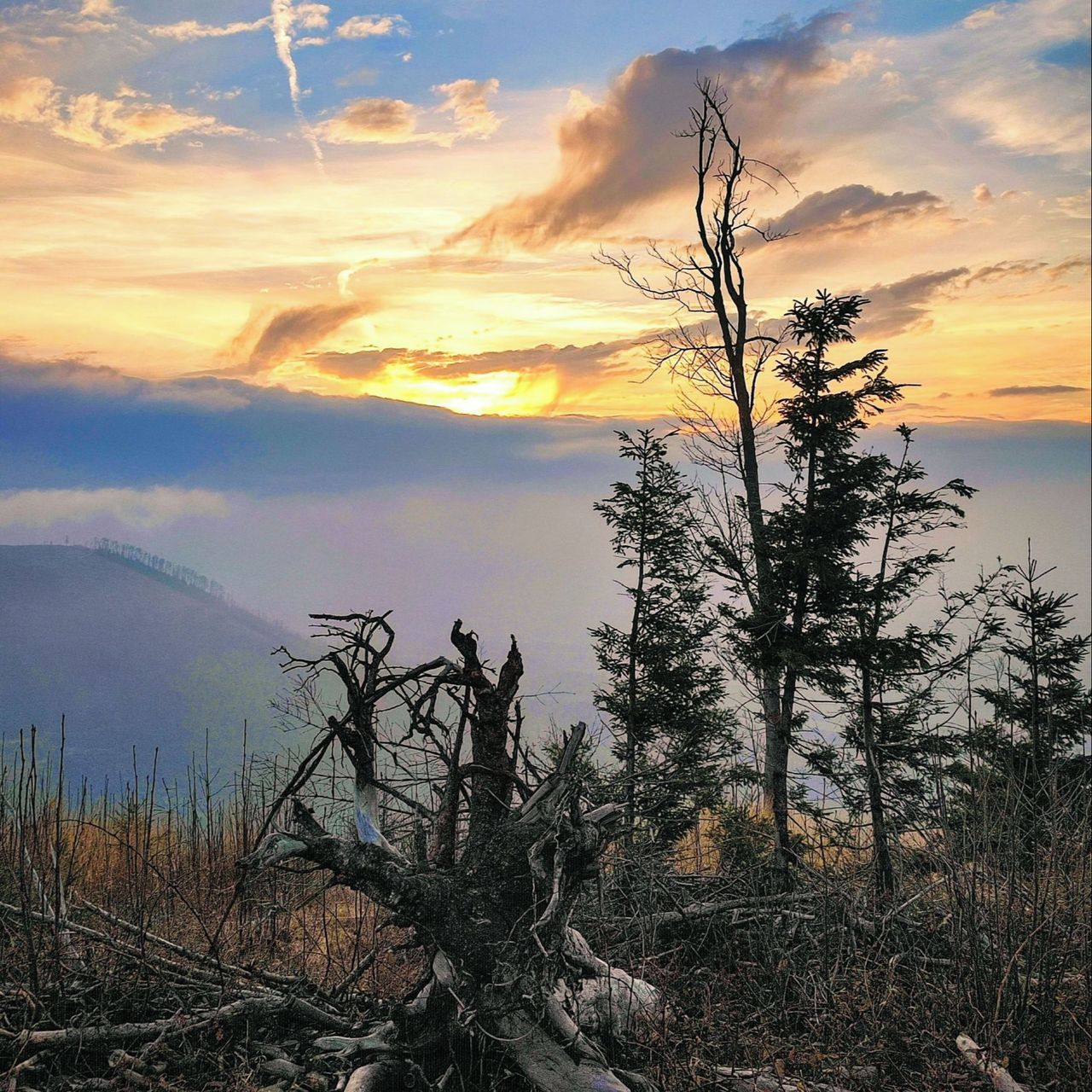 Soutěžní fotografie - Den končí, ale světlo ještě nezmizelo,  Vrchol Ondřejník