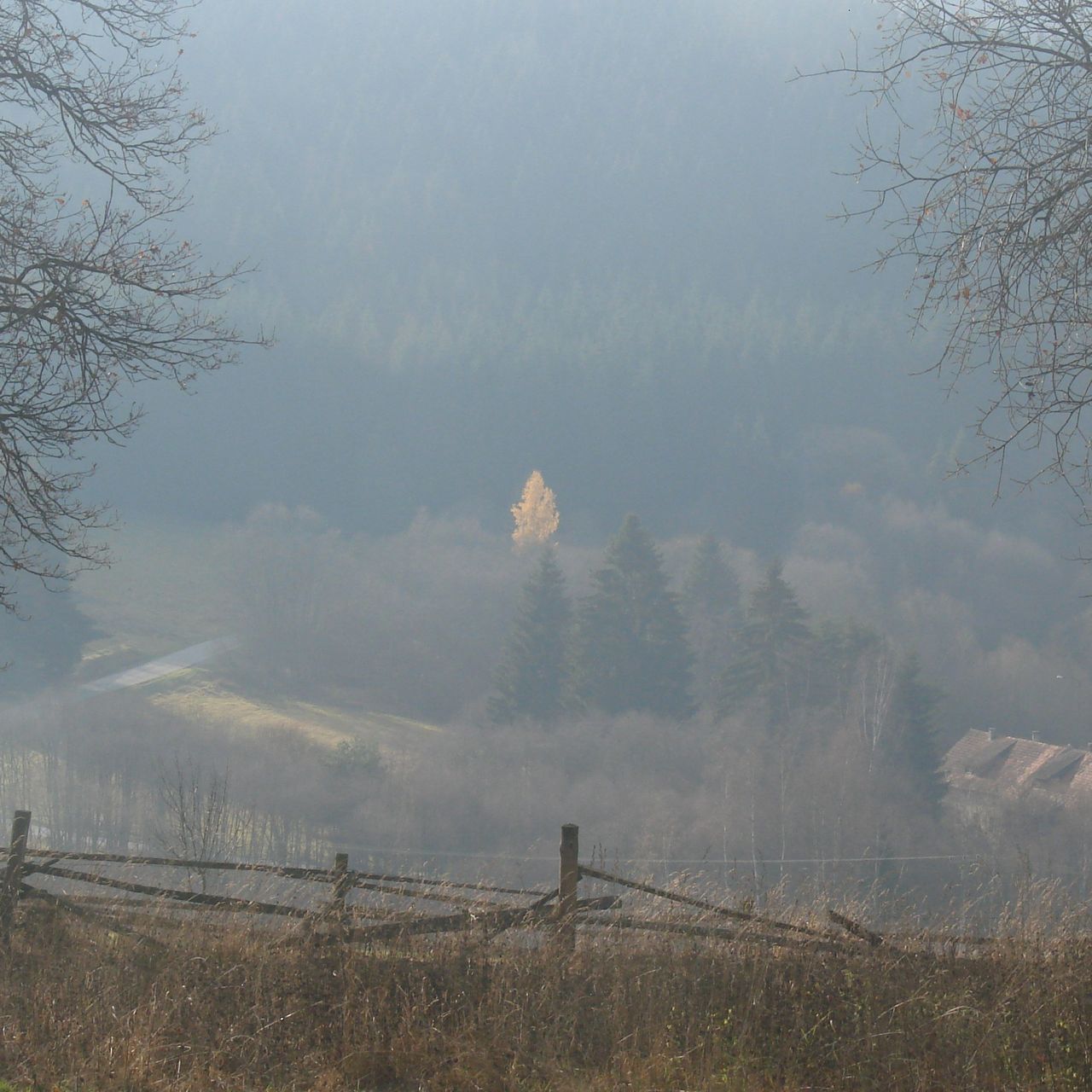 Soutěžní fotografie - Podzim,  Uhliště, Novohradské hory