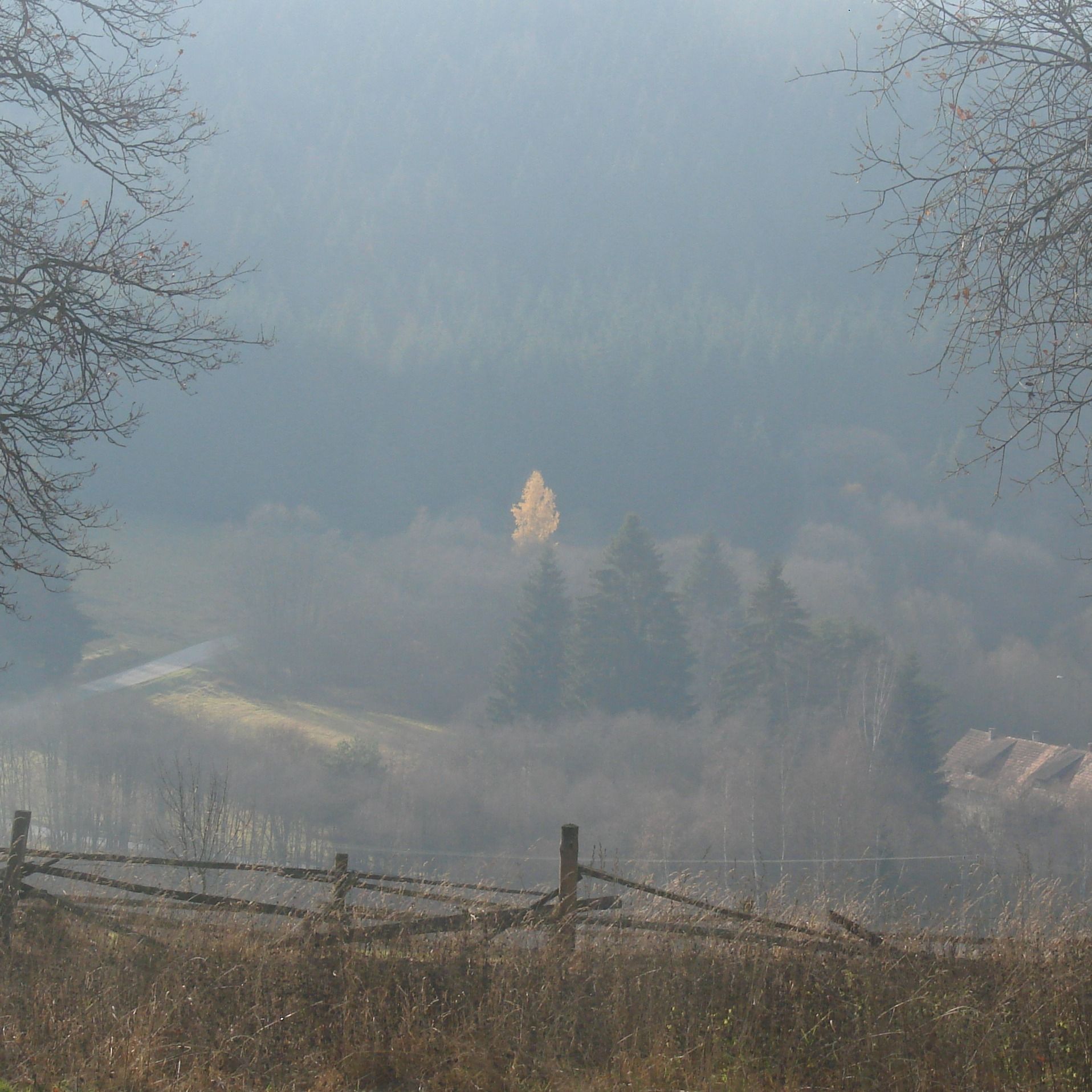Soutěžní fotografie - Podzim,  Uhliště, Novohradské hory