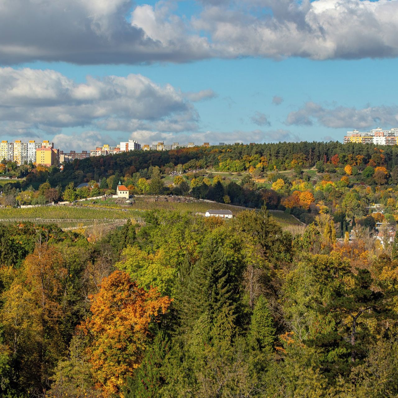 Soutěžní fotografie - Lidohrad, vinohrad, Stromovka,  Praha