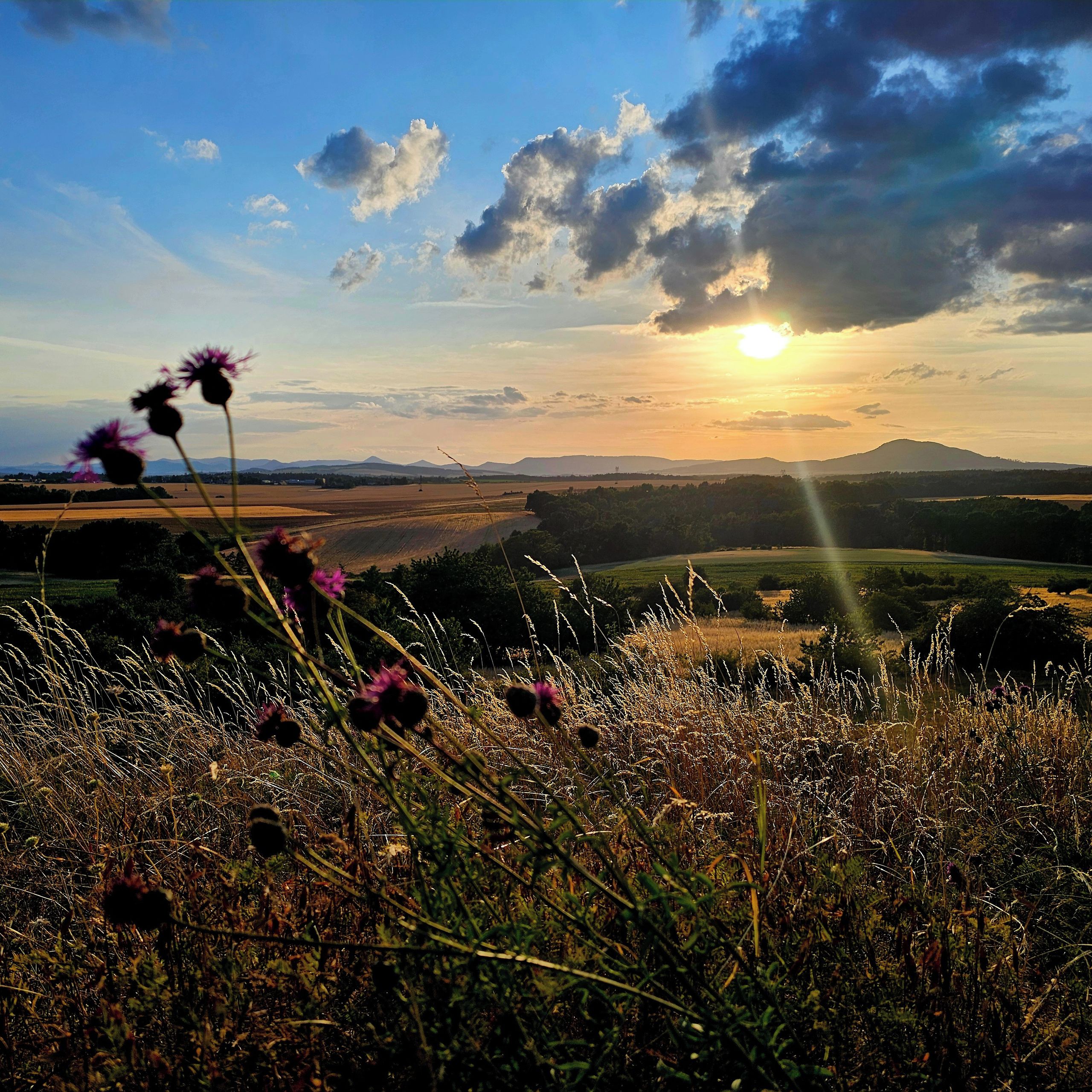 Soutěžní fotografie - Kokořínsko,  Strážný vrch