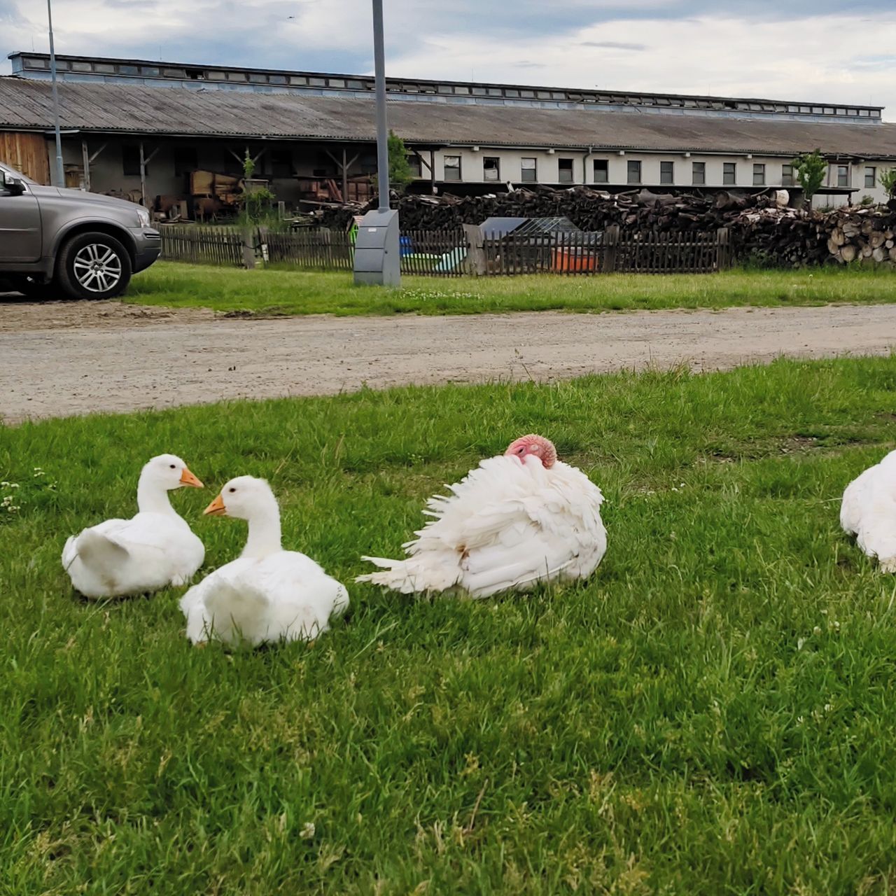 Soutěžní fotografie - Život na venkově,  Farma Bláto