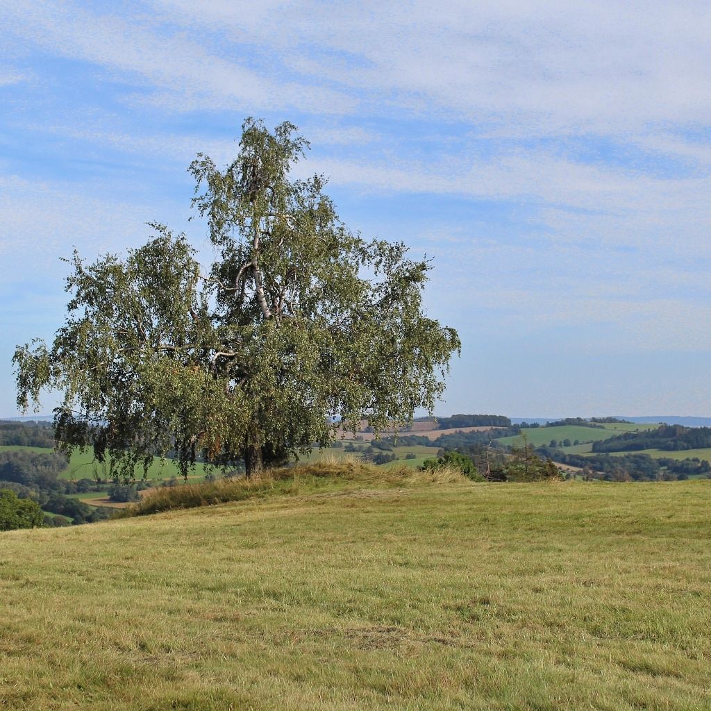 Soutěžní fotografie - Modravých dálek volání,  Olešnice- kopec Závrší