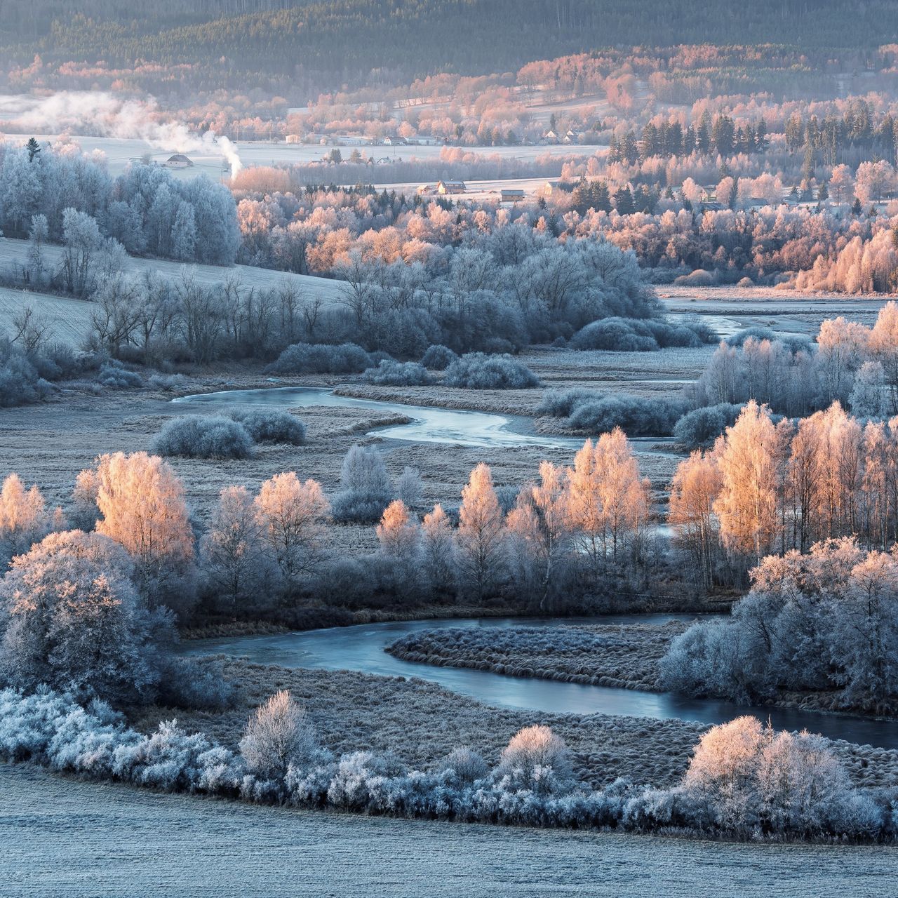 Soutěžní fotografie - Chlad Vltavského luhu,  Želnava, Šumava