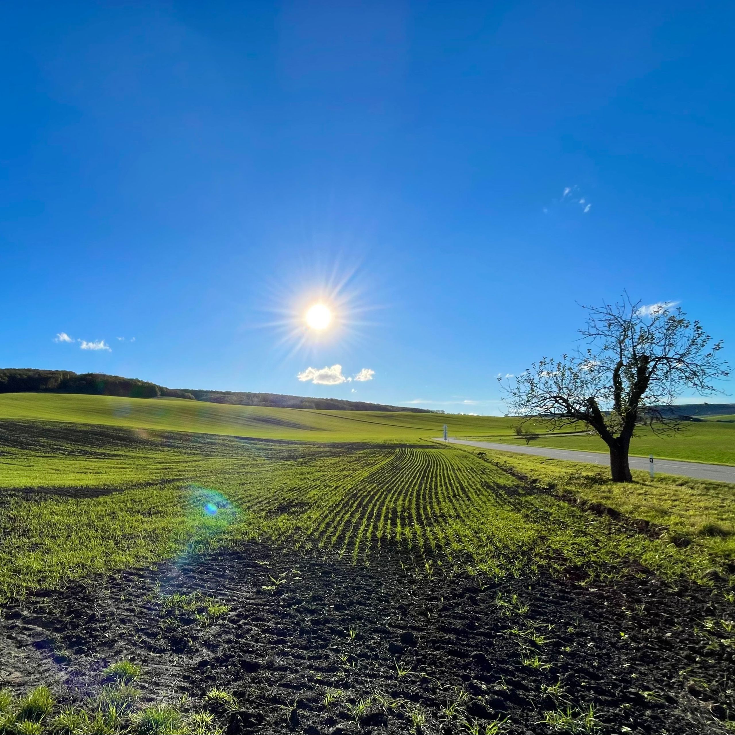 Soutěžní fotografie - Nekonečný klid,  Na cestě z Morkůvek do Boleradic