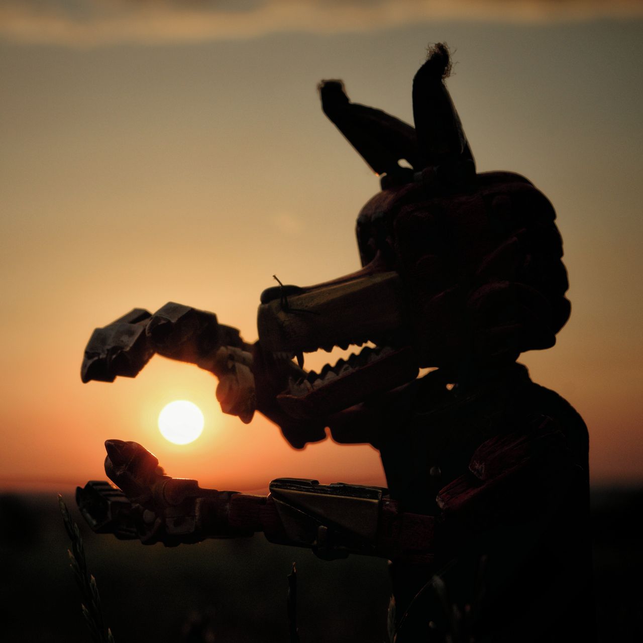 Soutěžní fotografie - "Život",  Sibřina
