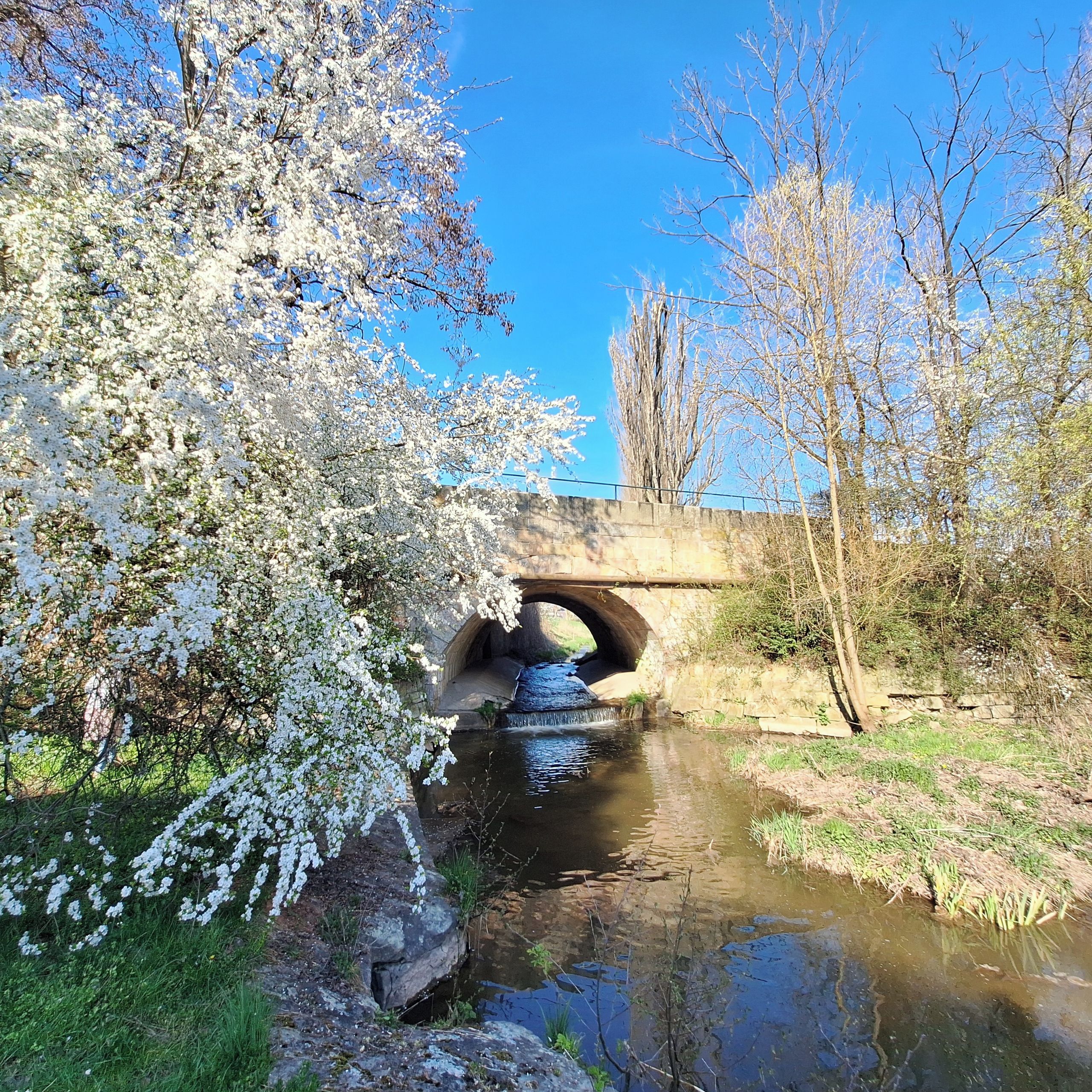 Soutěžní fotografie - Jarní zákoutí z Jičína,  Jičín