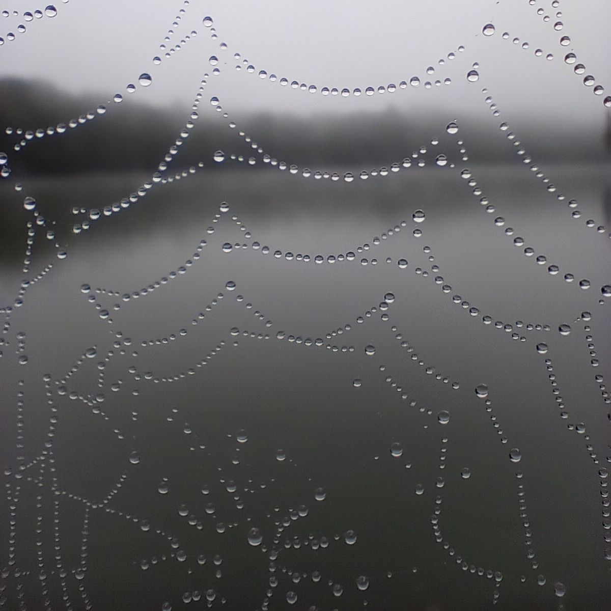 Soutěžní fotografie - Spiderman na Skalce,  Přehrada Skalka, Cheb