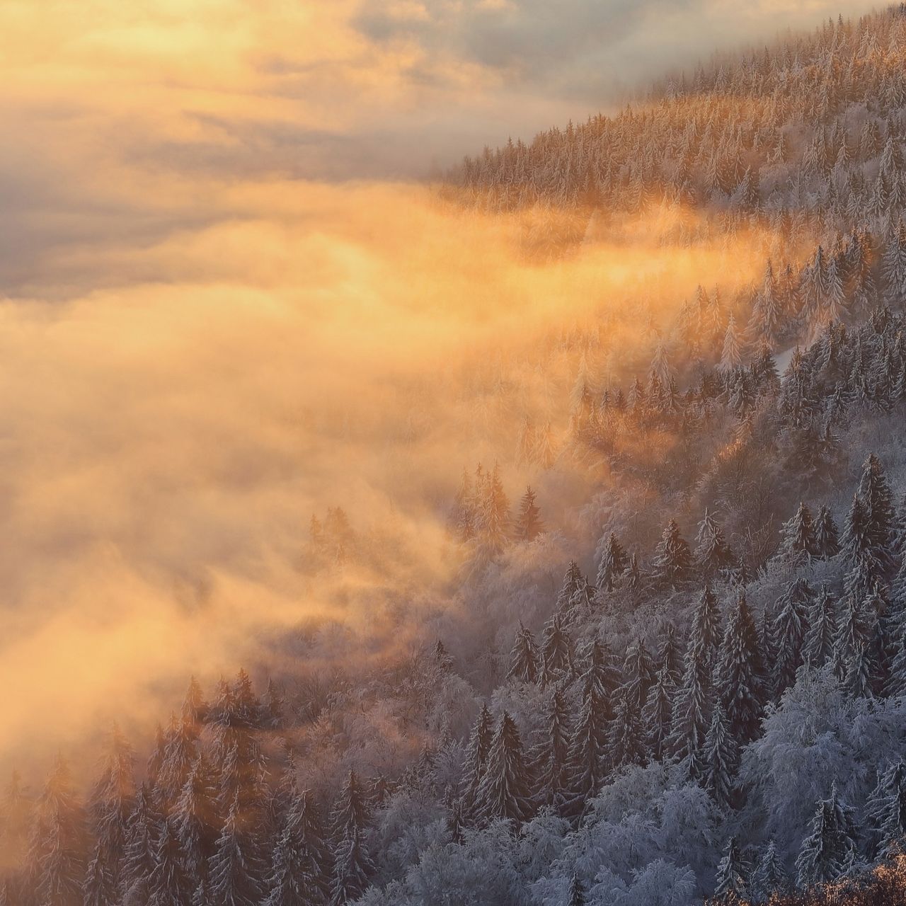 Soutěžní fotografie - Když hoří mračna,  Ještědský hřeben