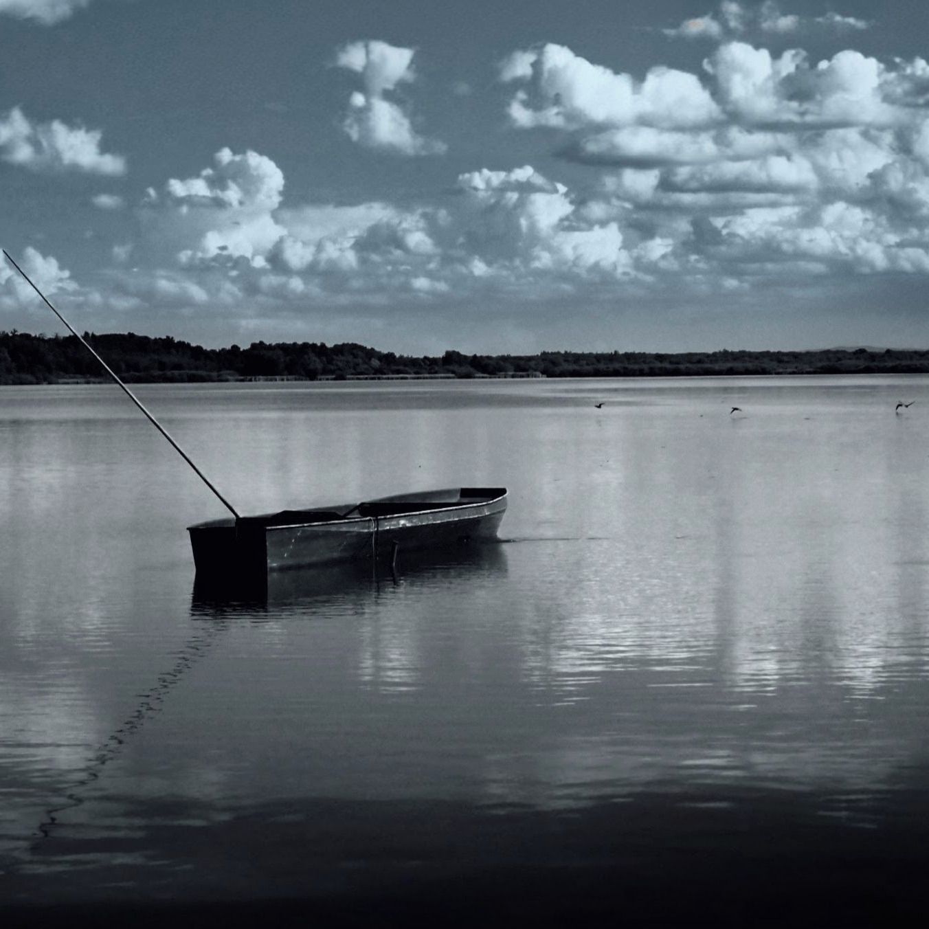 Soutěžní fotografie - ROŽMBERSKÝ LET,  Rybník Rožmberk
