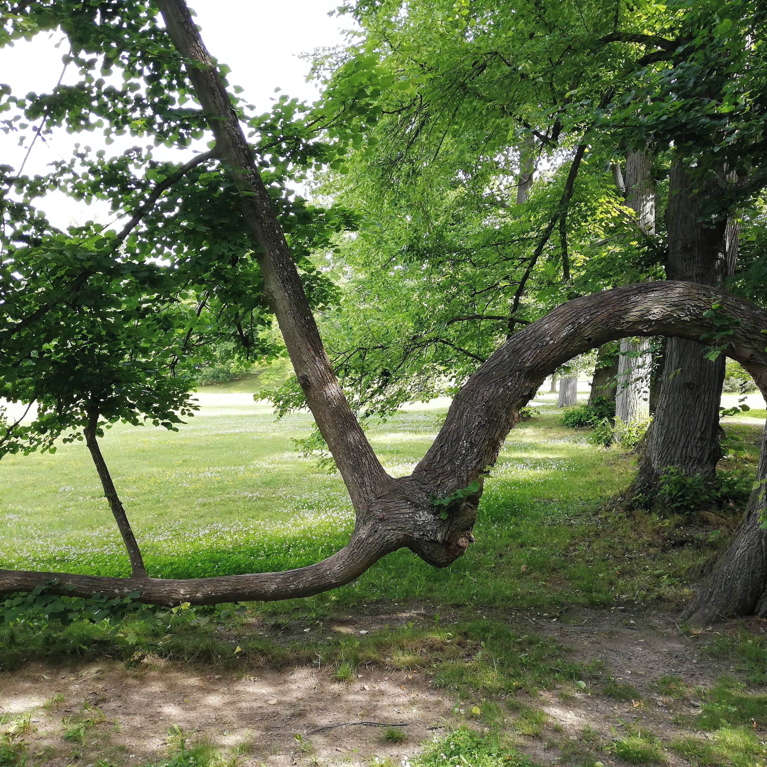 Soutěžní fotografie - Nejdůležitější je udělat ten první krok.,  Zámek "Kozel" - ŠťáhlavyNádherný park
