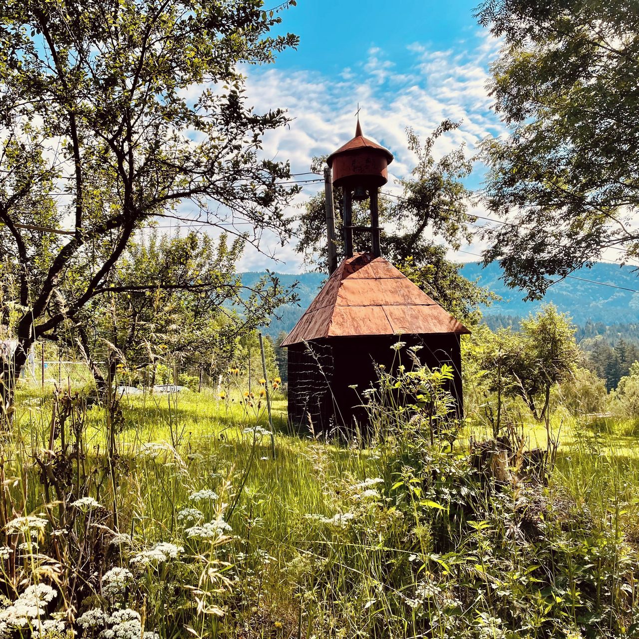 Soutěžní fotografie - Horská zvonička v létě,  Prostřední Bečva, Kněhyně