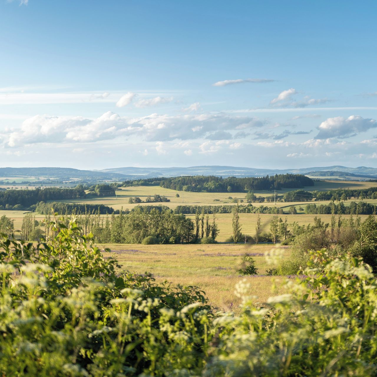 Soutěžní fotografie - Pod Třebouňským vrchem,  Třebouň