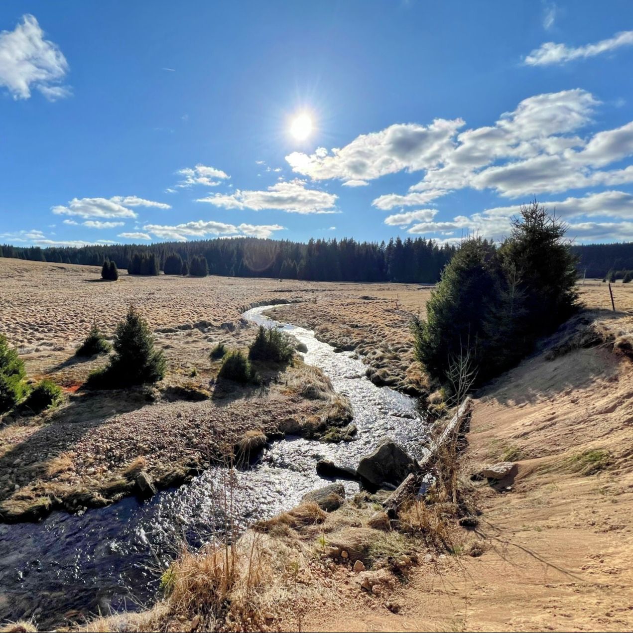 Soutěžní fotografie - Odměna tichem,  Chaloupky, Jelení