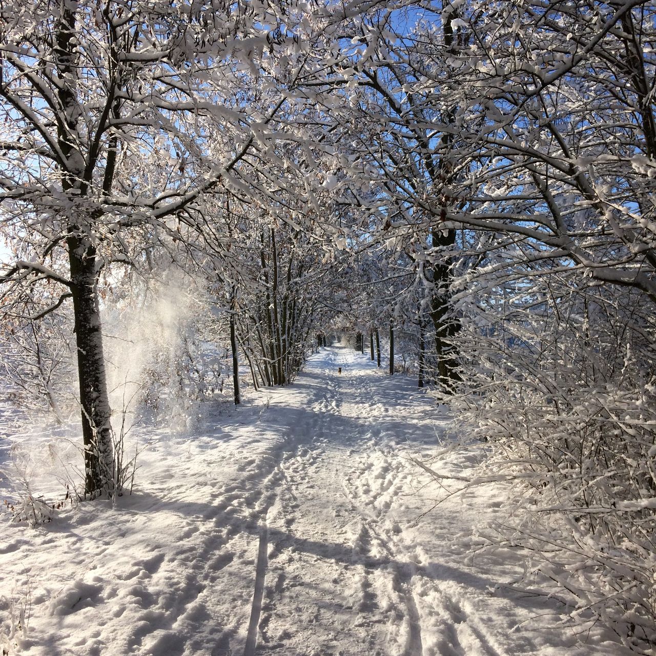 Soutěžní fotografie - Kilometrovka,  Plzeň