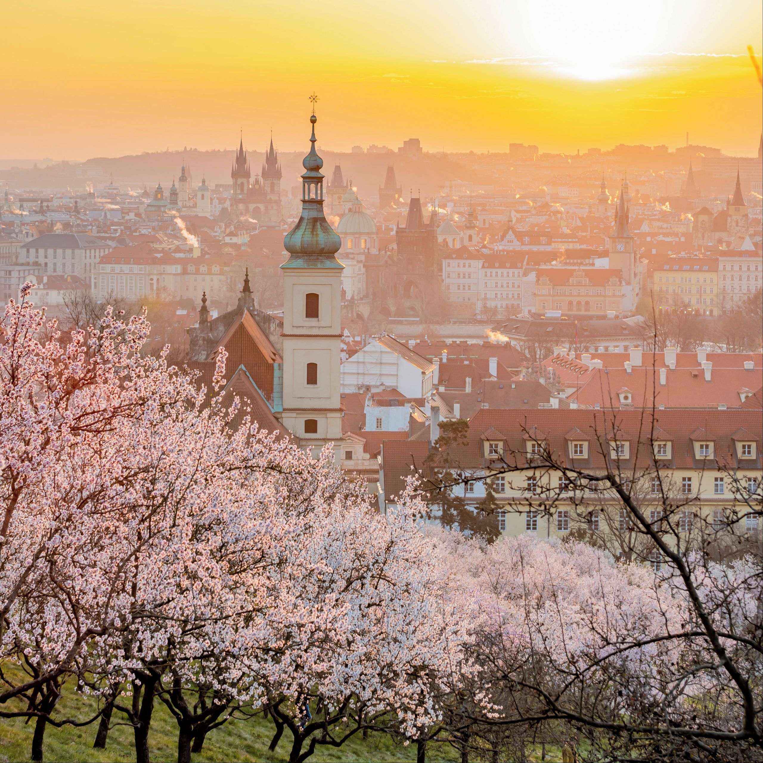 Soutěžní fotografie - rozkvetlá jarní Praha,  Praha