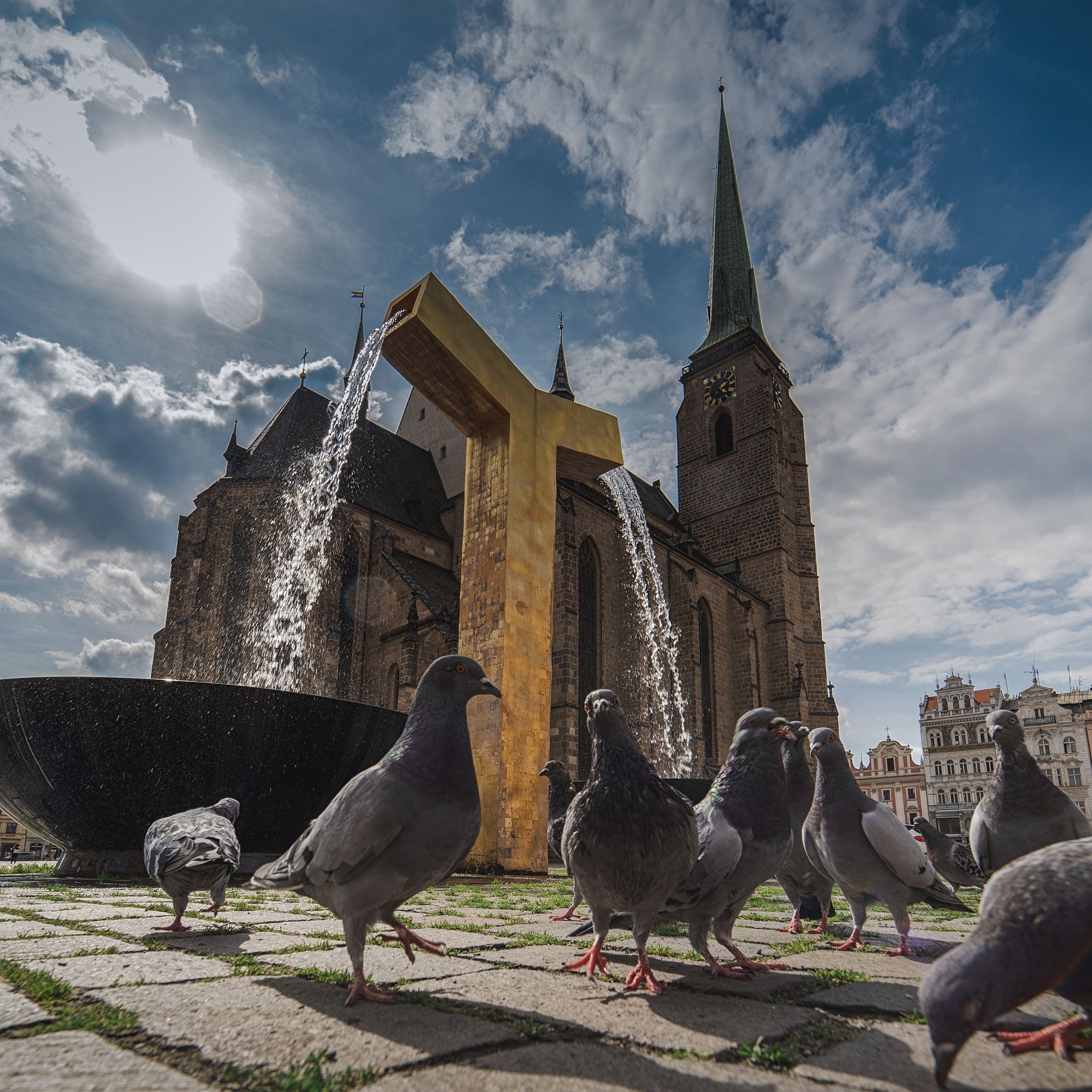 Soutěžní fotografie - Život v Plzni,  Plzeň náměstí