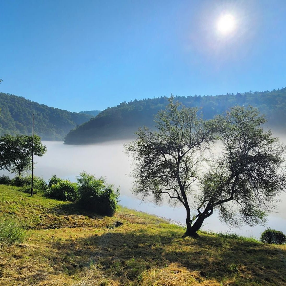 Soutěžní fotografie - Ráno u Svatojánských proudů,  Slapy
