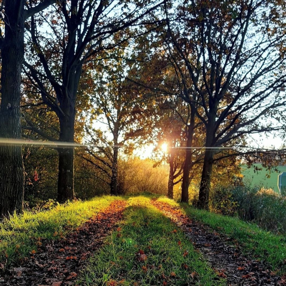 Soutěžní fotografie - Nejsilnější dotek,  Velké Meziříčí