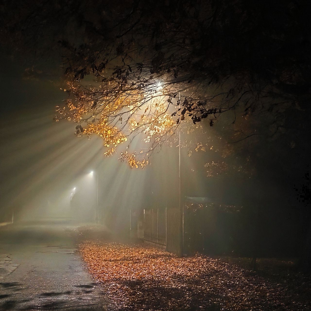 Soutěžní fotografie - Světlo prostupující mlžnou podzimní nocí,  Praha