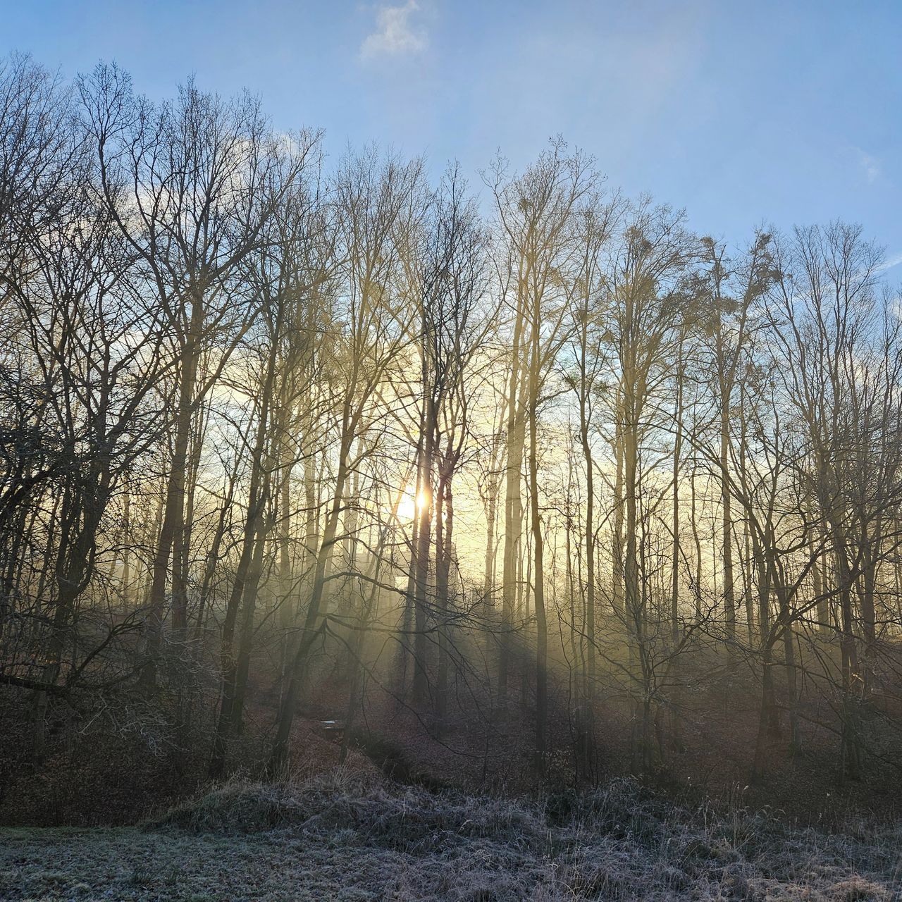 Soutěžní fotografie - Podzimní stíny,  Rožnovsko