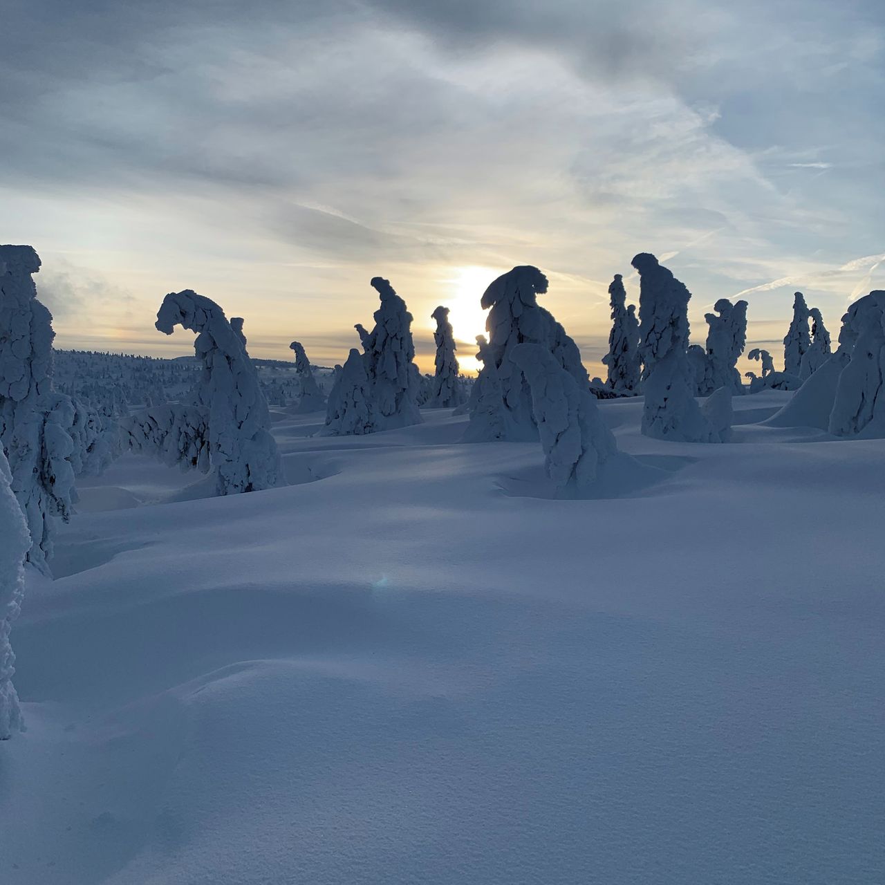 Soutěžní fotografie - Krkonošská pohádka,  Krkonoše, Špindlerův Mlýn