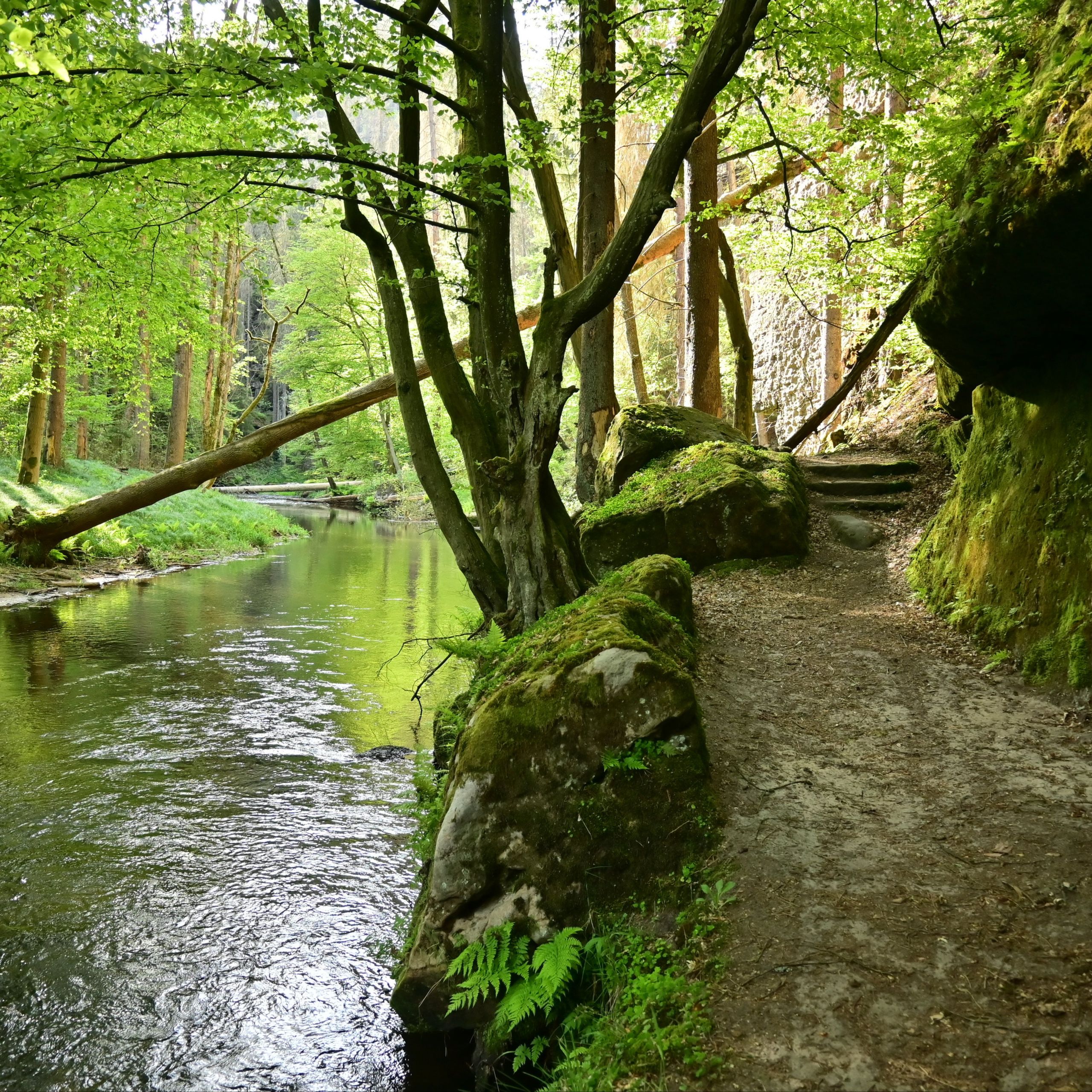 Soutěžní fotografie - Soutěskou do Ráje,  Jetřichovice, Horní soutěska.