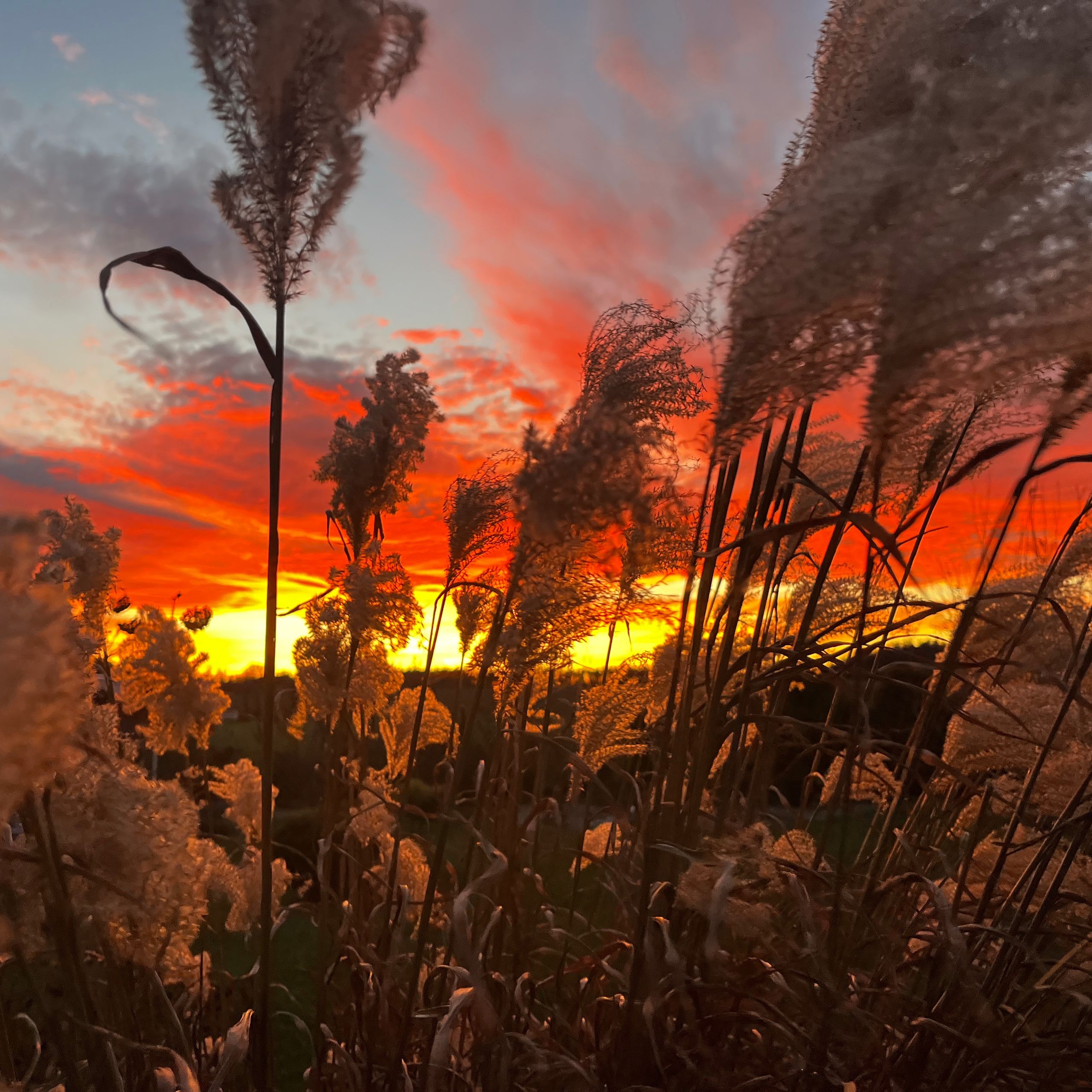 Soutěžní fotografie - Okouzlující západ,  Komorní Lhotka