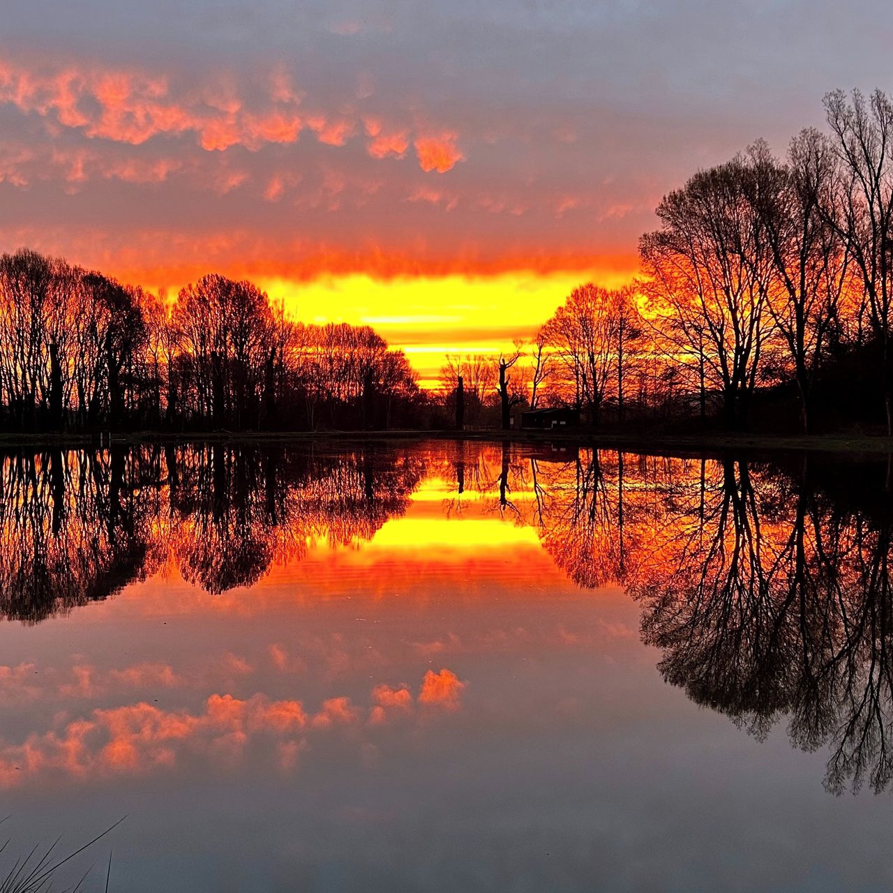 Soutěžní fotografie - Magické ráno,  Kounice