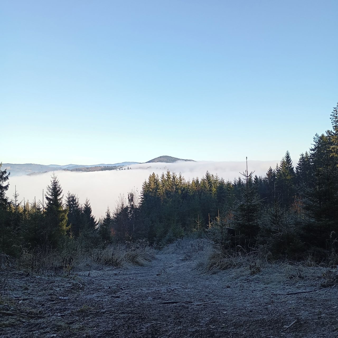 Soutěžní fotografie - Zimní inverze,  Mosty u Jablunkova