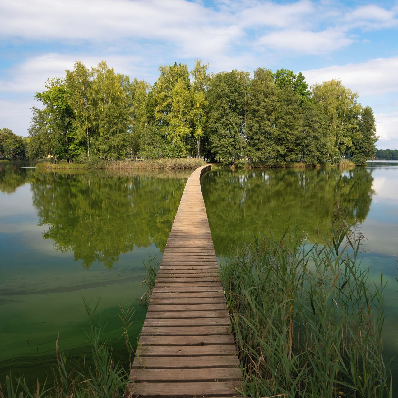 Soutěžní fotografie - Přes hladinu,  Chlum u Třeboně