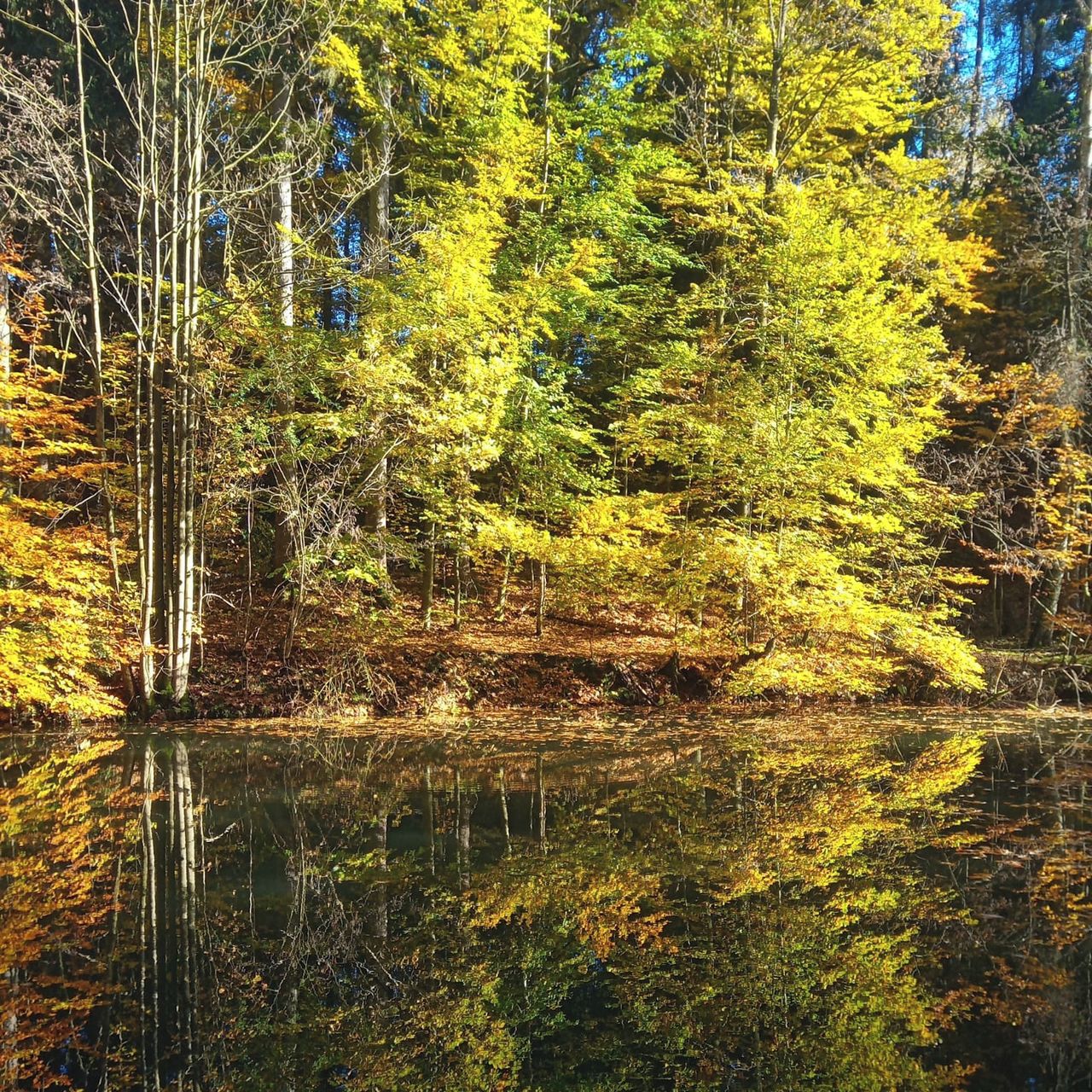 Soutěžní fotografie - Zrcadlo,  Liberec - Pivovarské rybníky