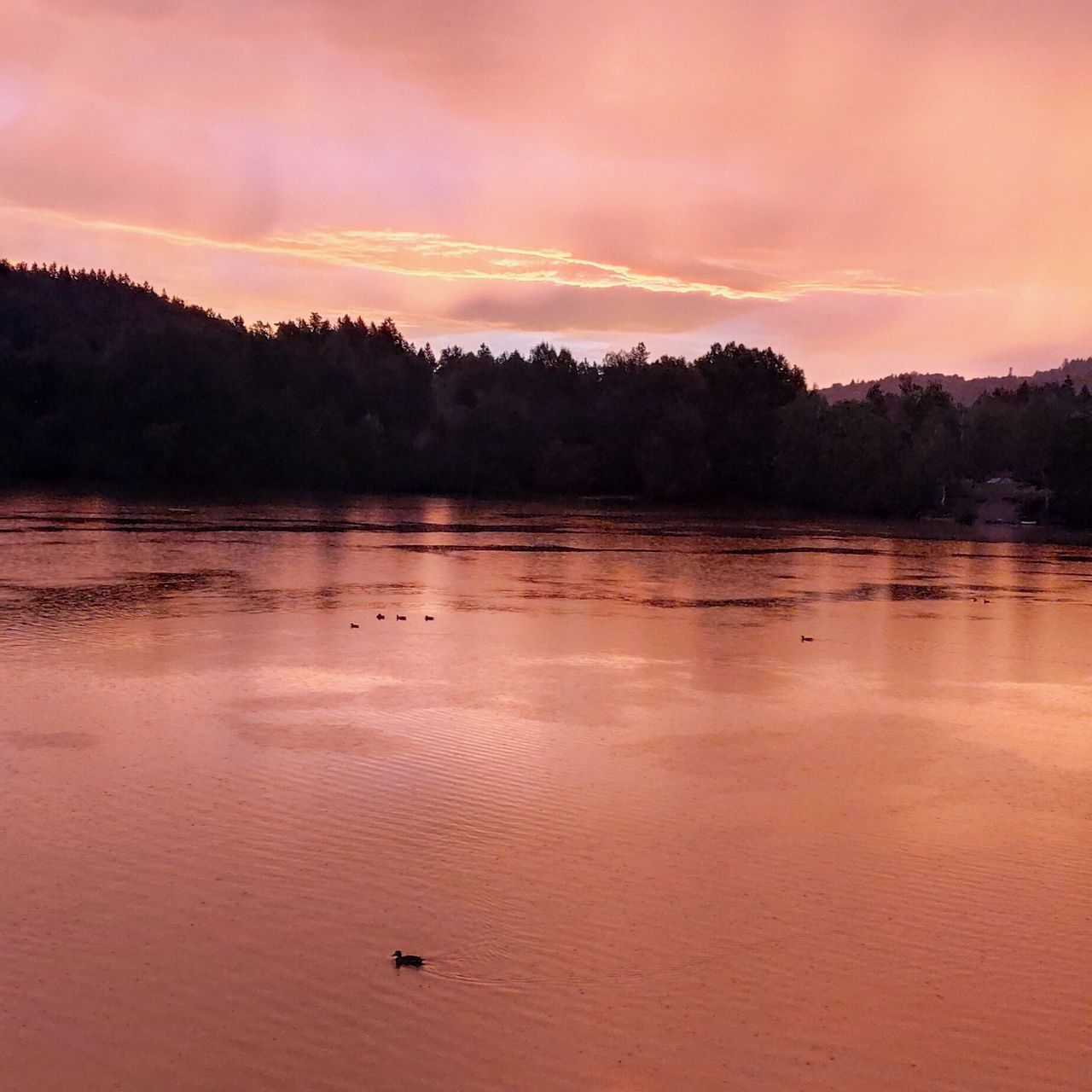 Soutěžní fotografie - Východ slunce na jablonecké přehradě,  Jablonec nad Nisou - přehrada Mšeno