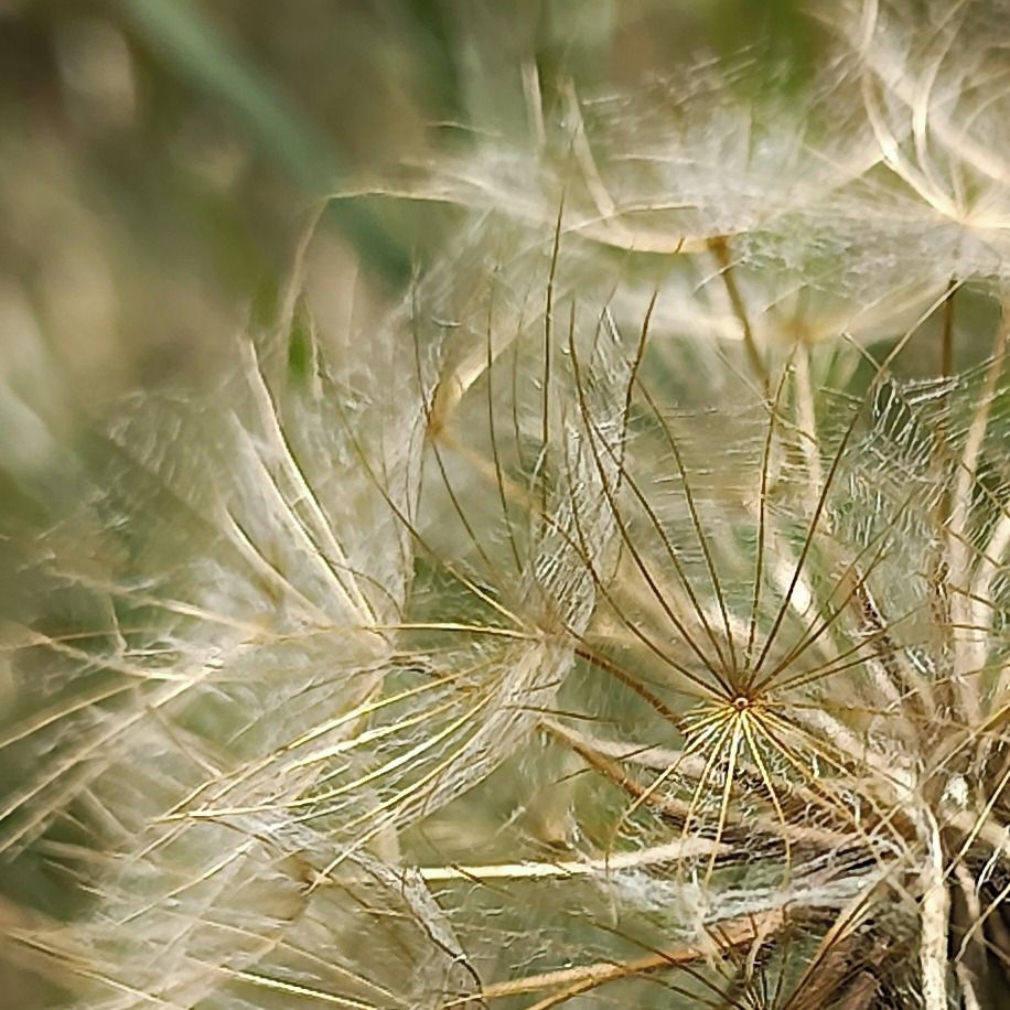 Soutěžní fotografie - Na vlásku,  Chrast u Chrudimi