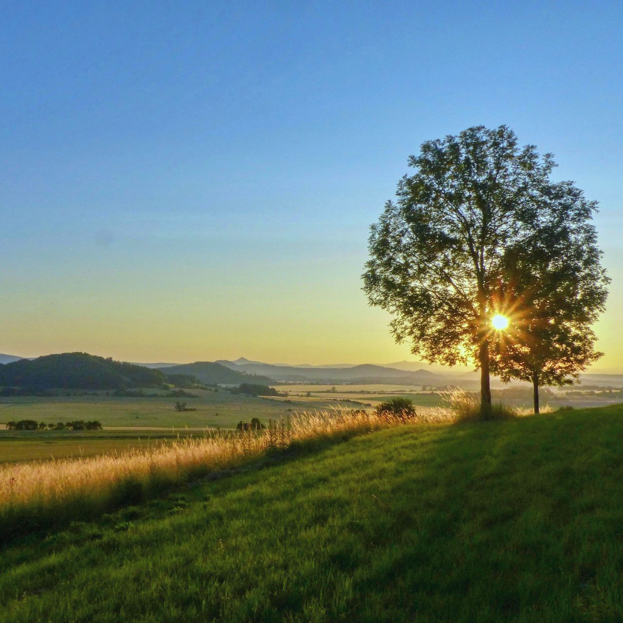 Soutěžní fotografie - Svítání na Kokořínsku,  Korce