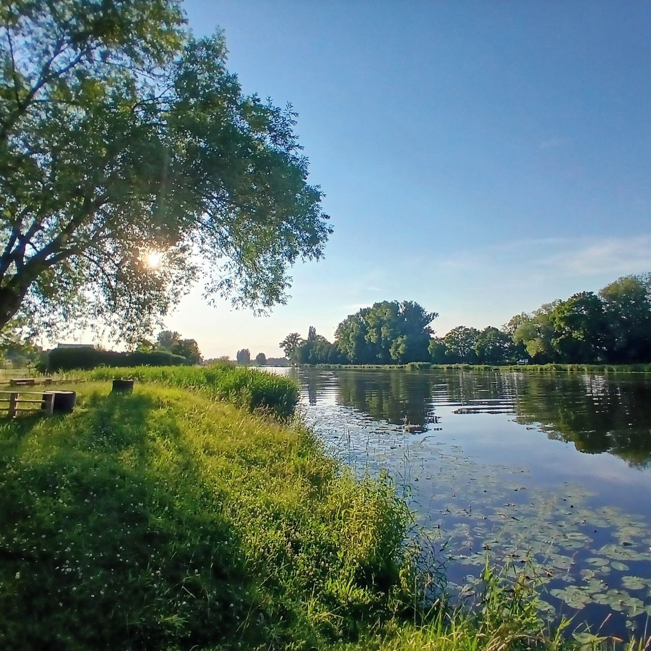 Soutěžní fotografie - Labe v podvečer,  Záryby