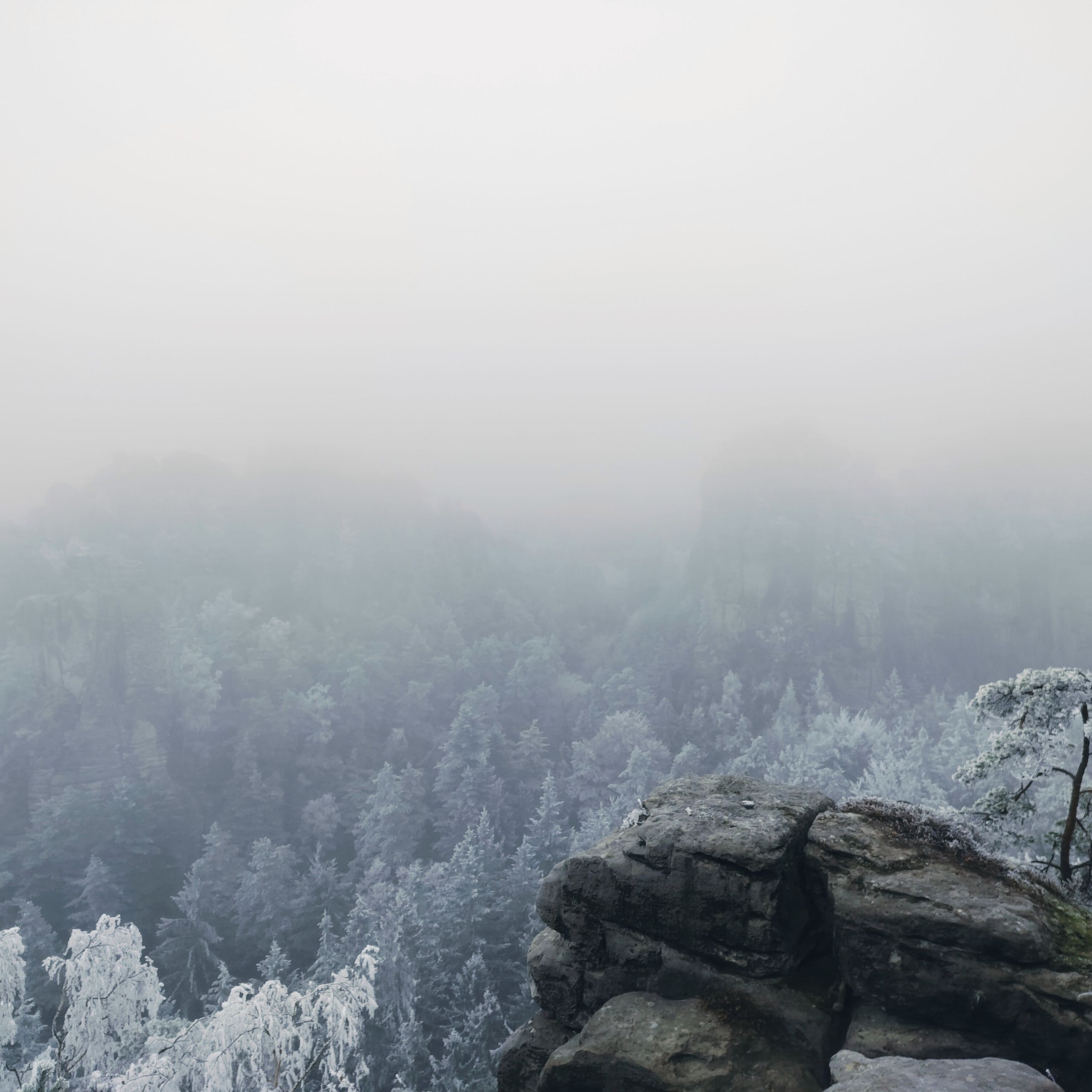 Soutěžní fotografie - Na dohled bílo,  Hruboskalsko